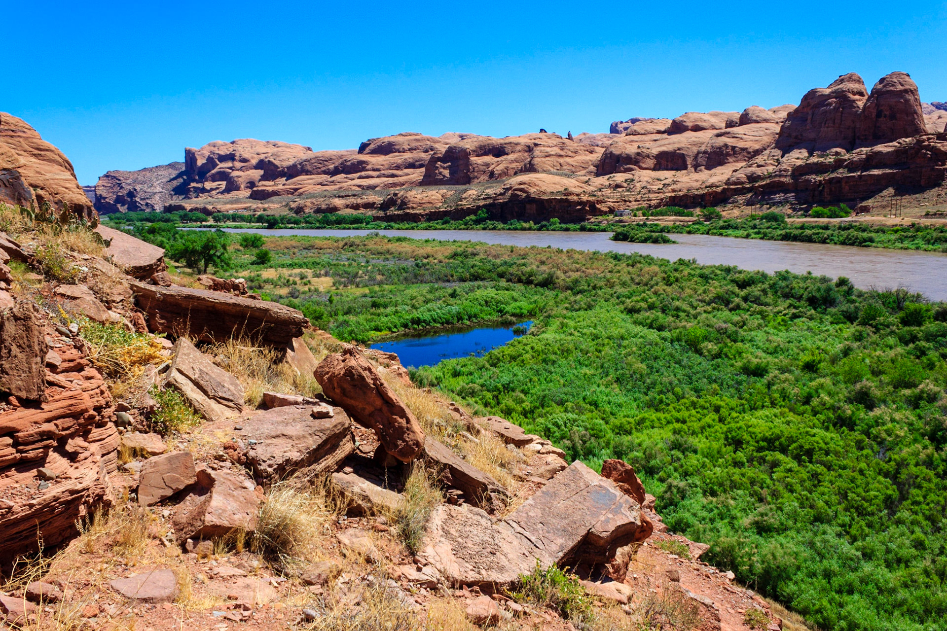 Colorado River along Potash Road