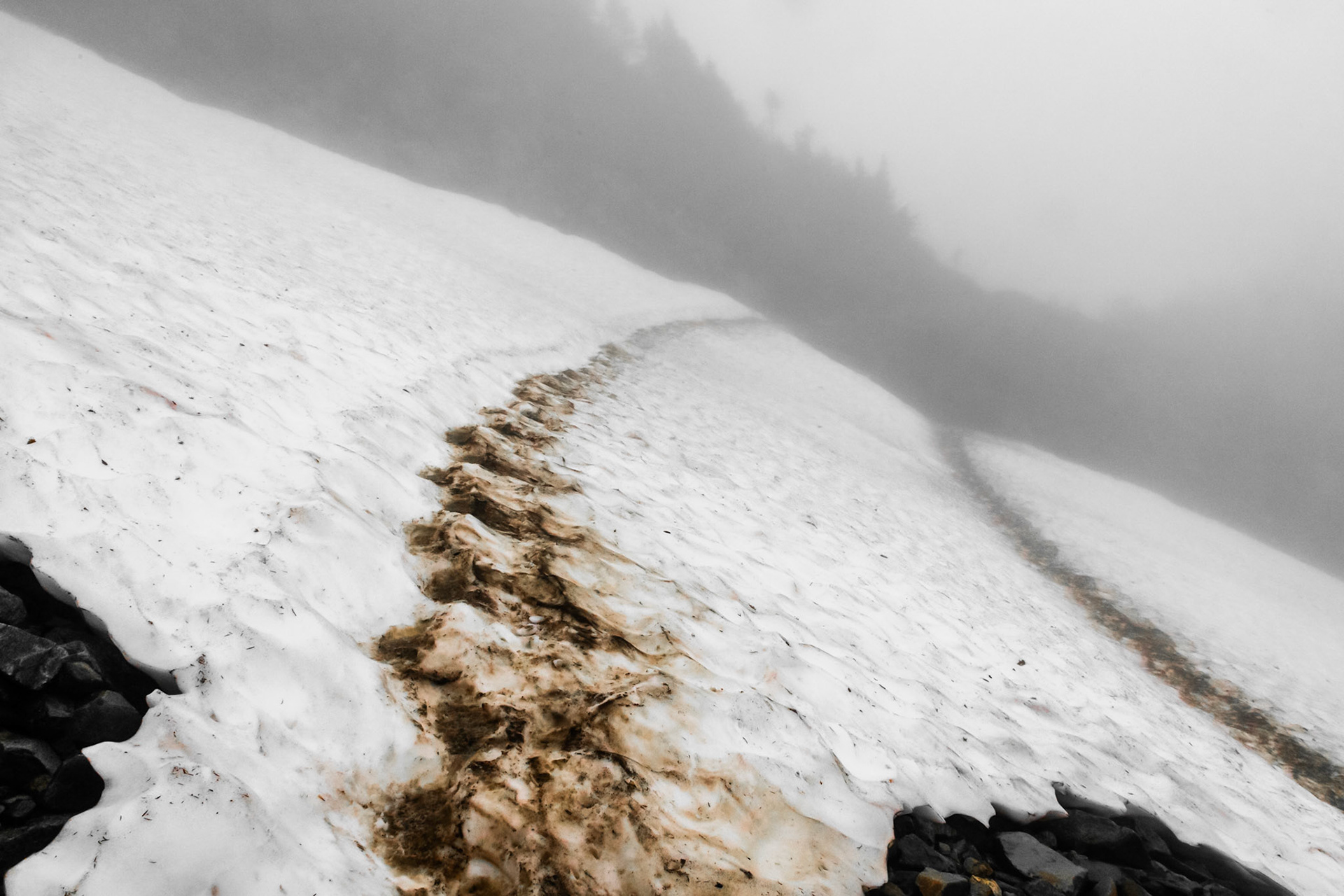Cascade Pass Trail
