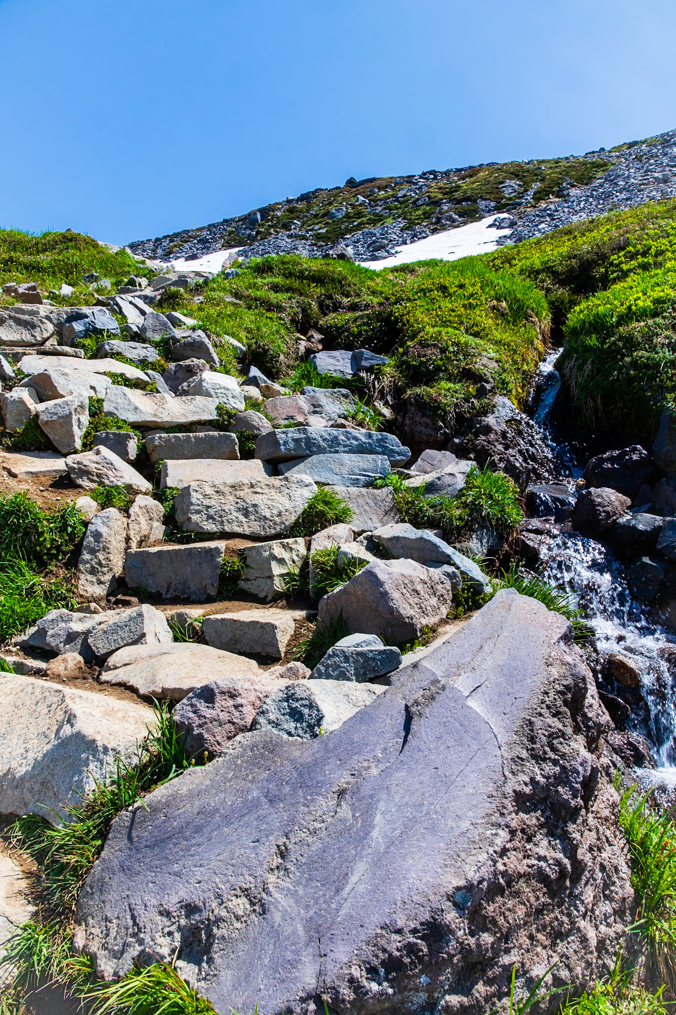 Skyline Trail