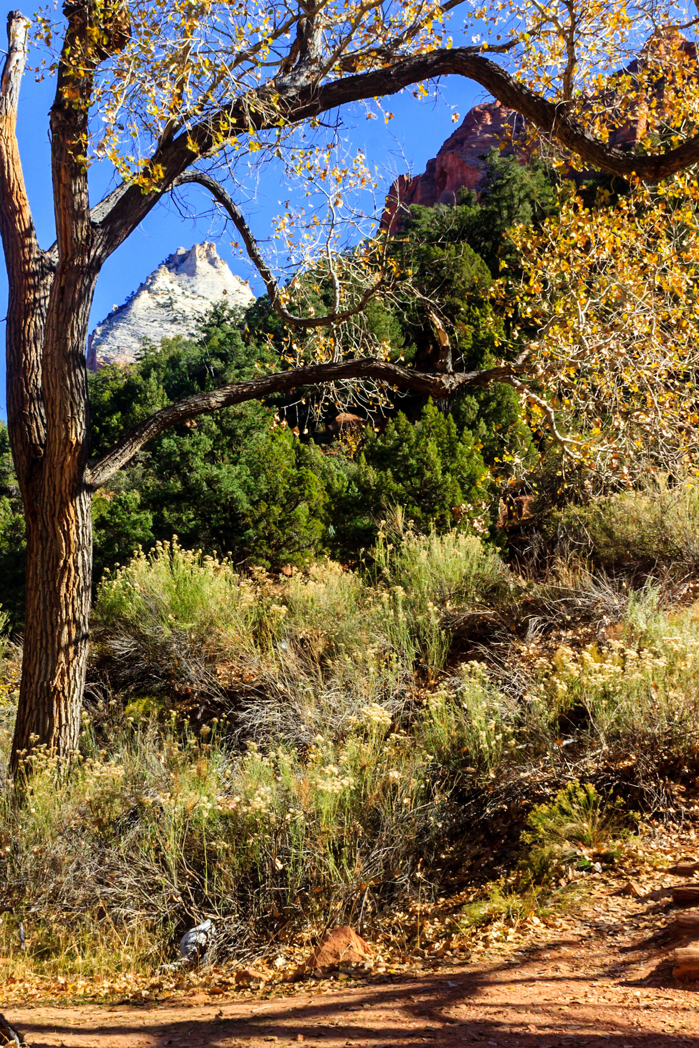 The Twin Brothers (center-right, grey) framed by the fall colors.