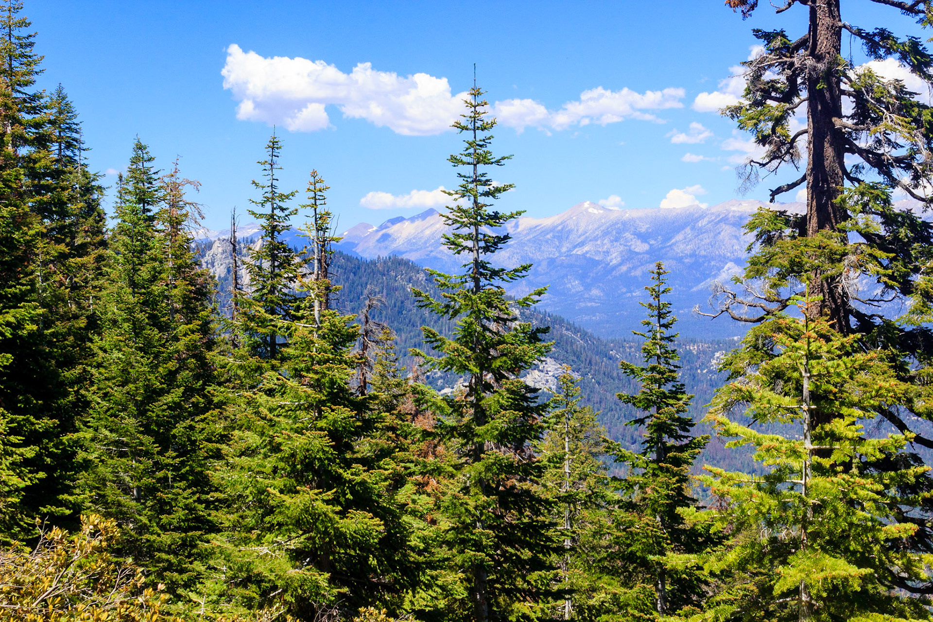 Looking up the Kern River Valley