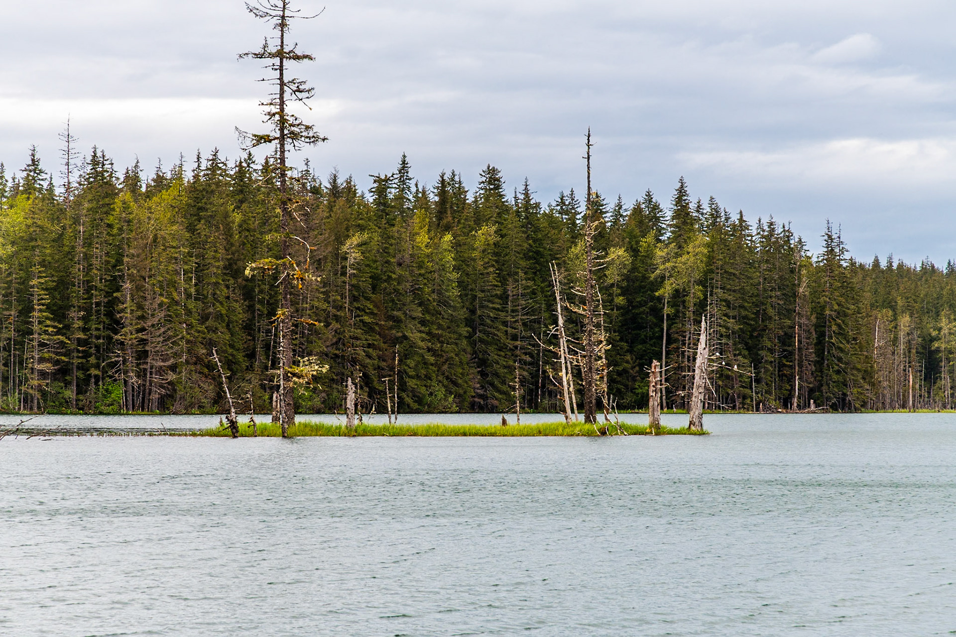 Small island near Bartlett Cove.