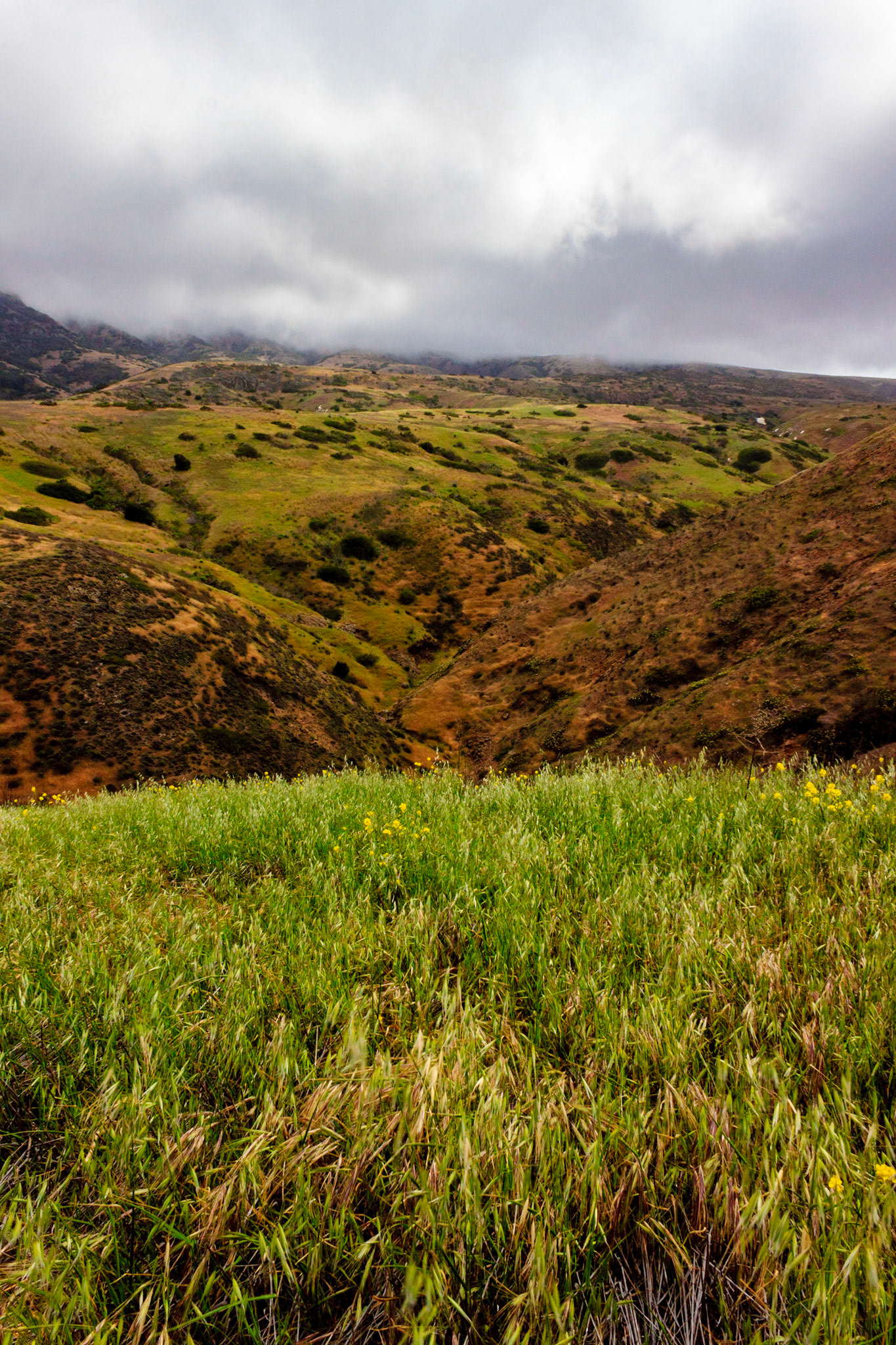 Low marine layer on the island.