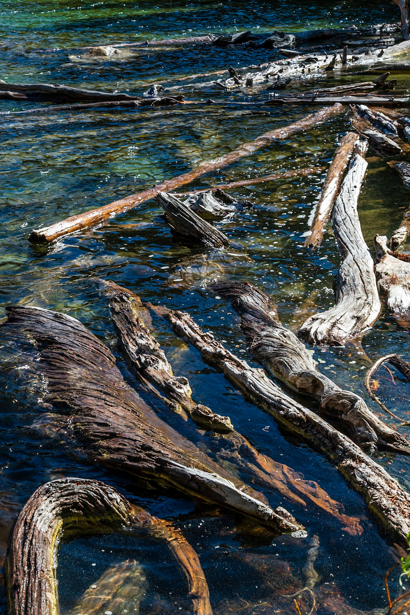 Log jam at the head of the lake.