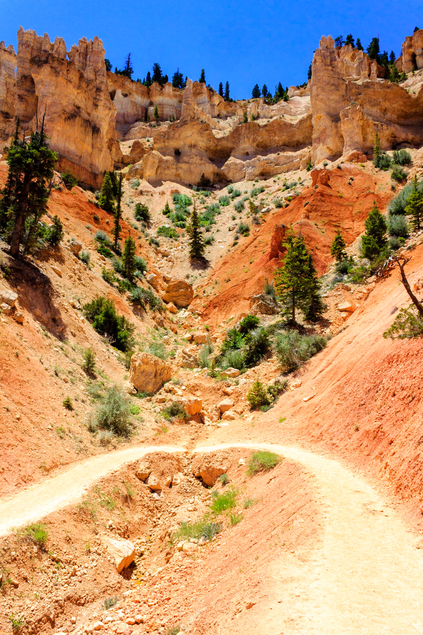 Peek-A-Boo Loop Trail