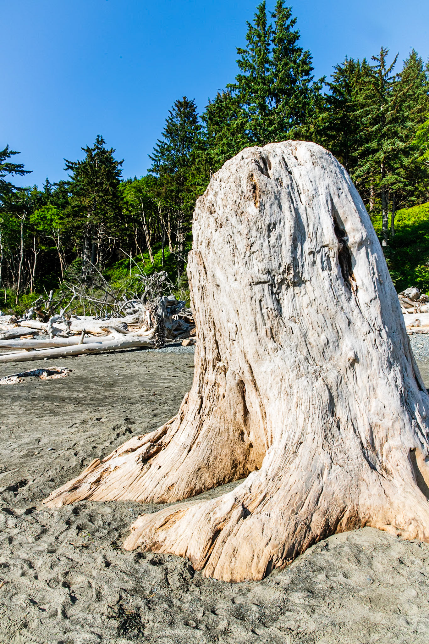 Rialto Beach