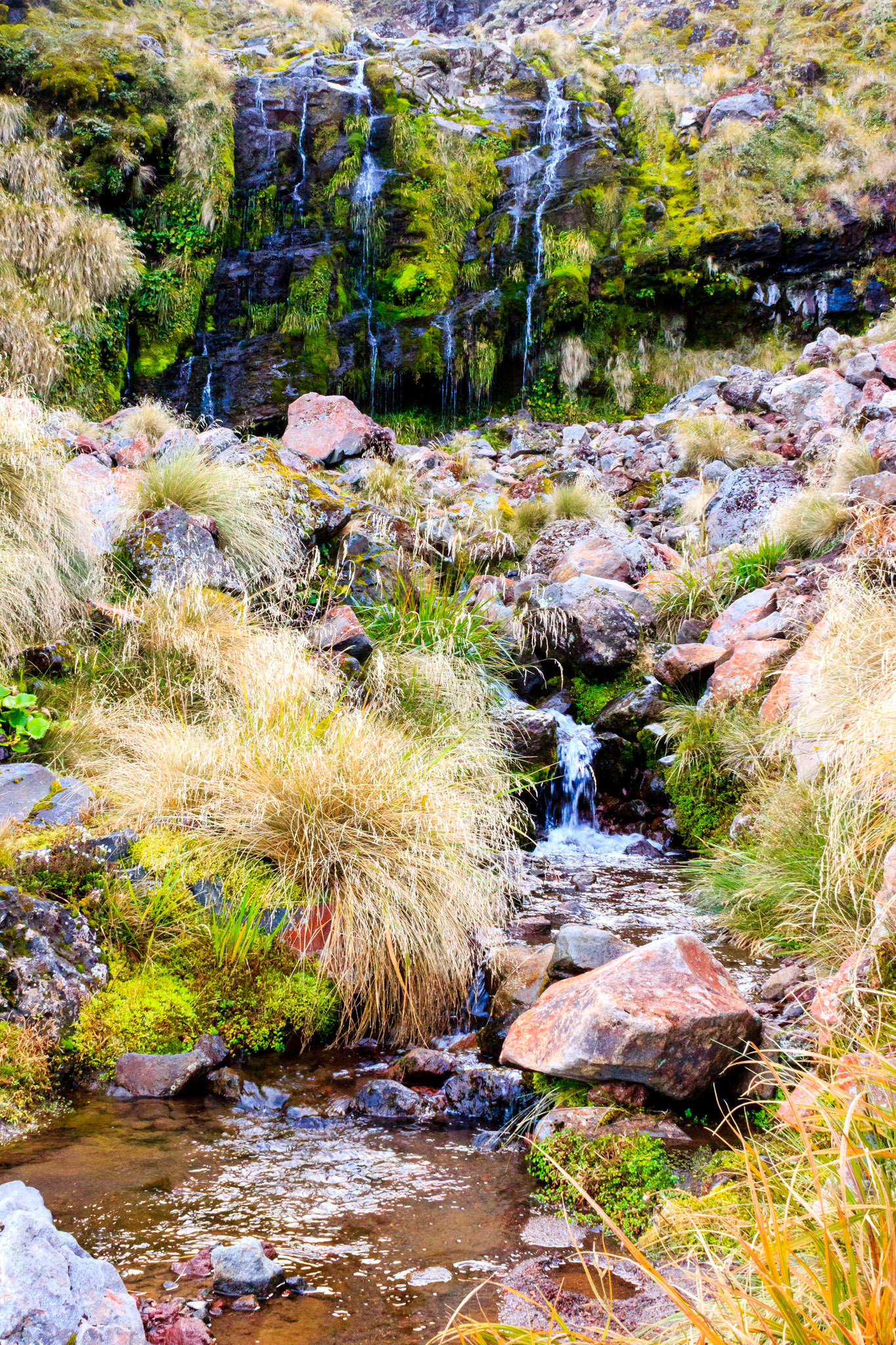 Soda Springs along the Tongariro Alpine Crossing.