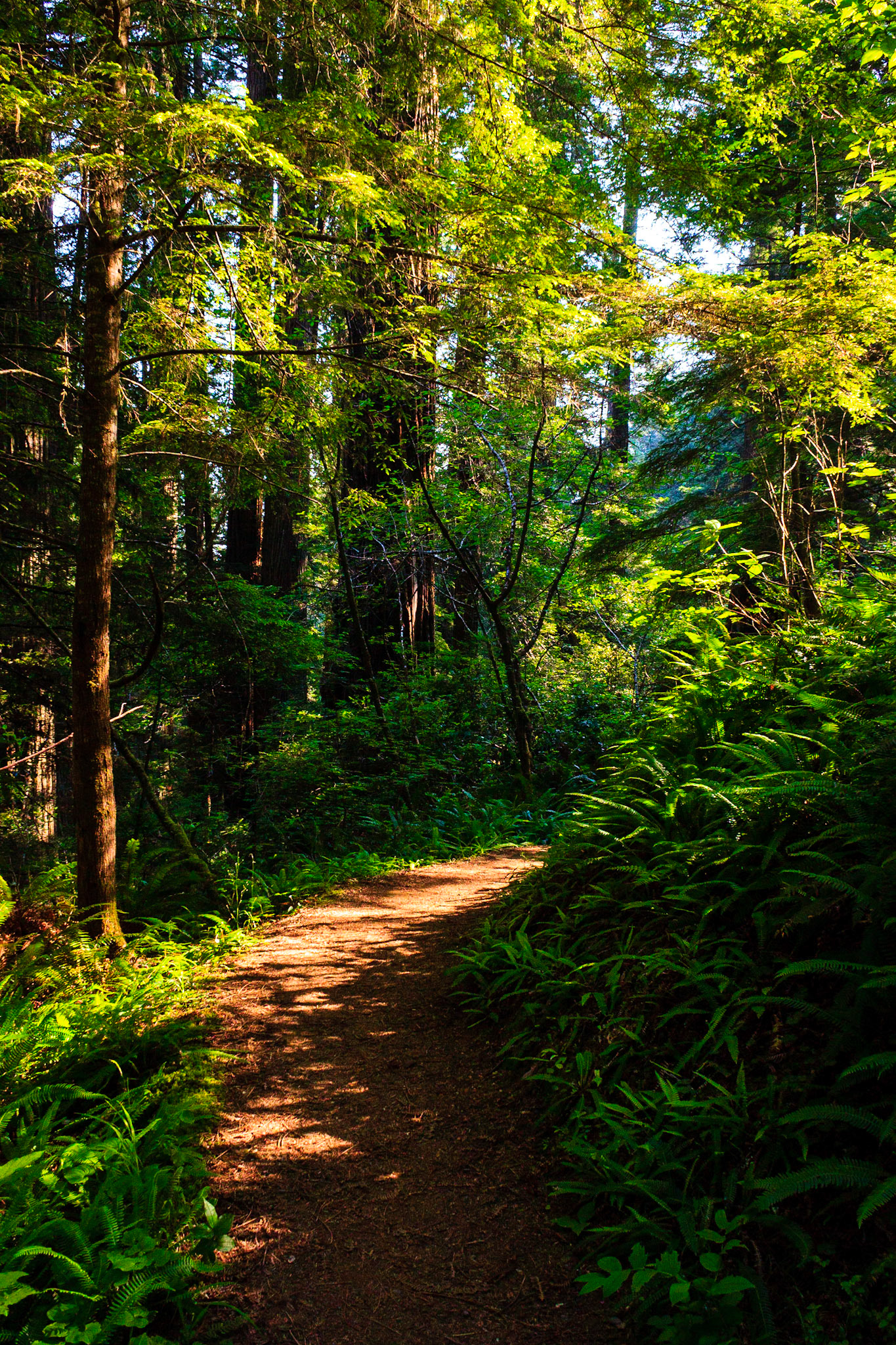 Ah-Pha Interpretive Trail
