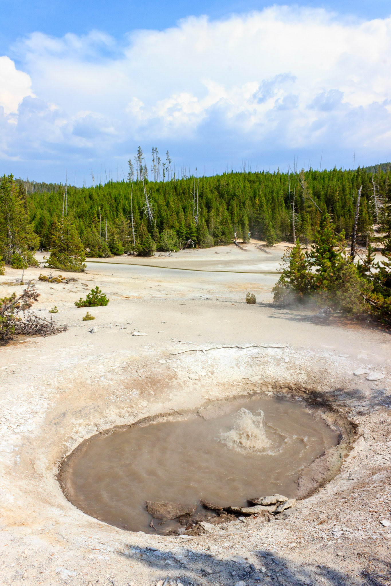 Mud Pot in Norris Geyser Basin