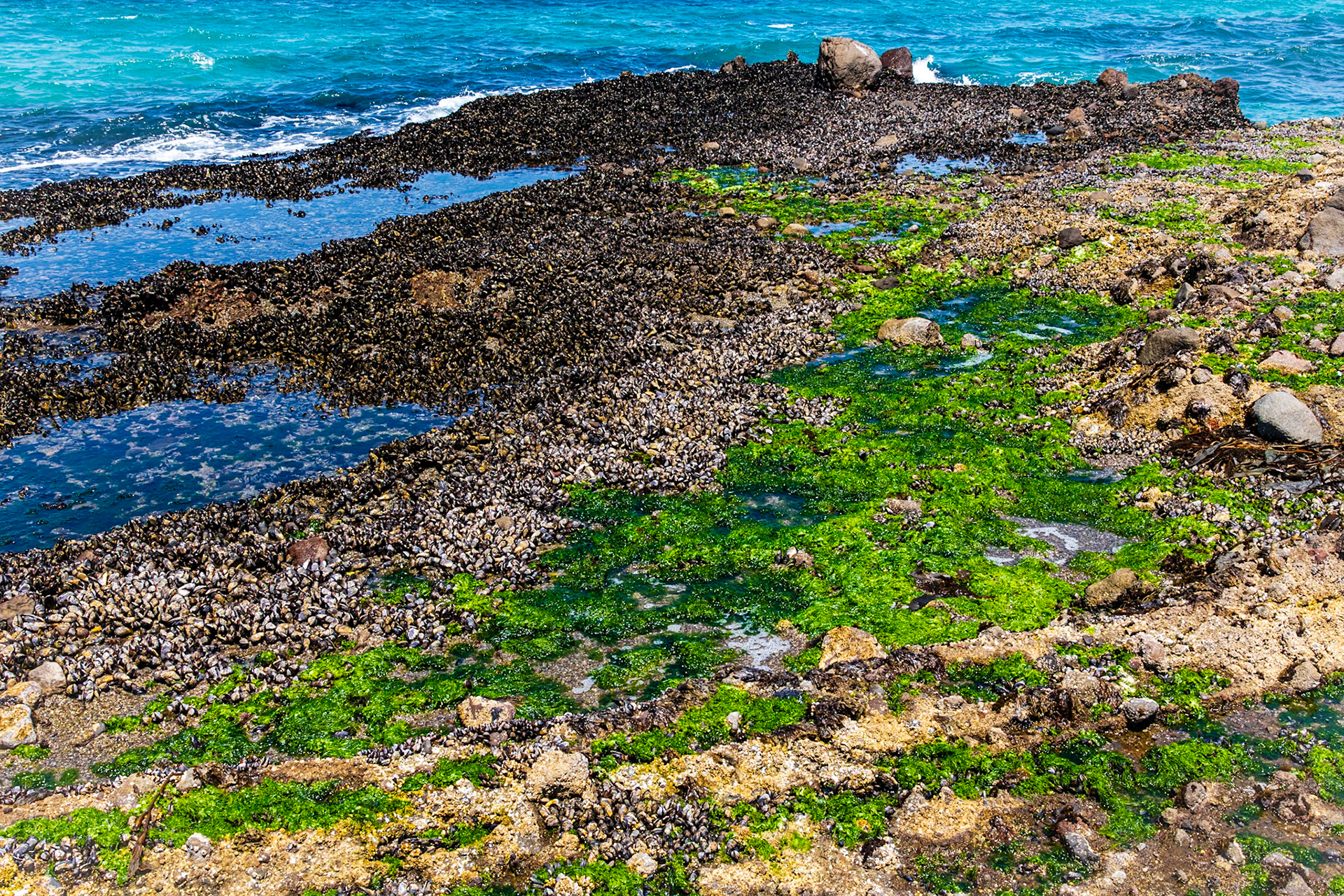 Tidepools