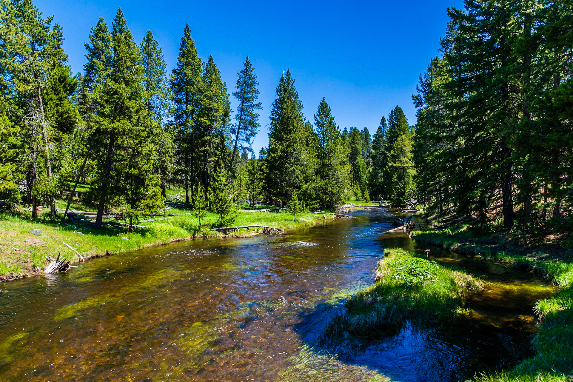 Firehole River