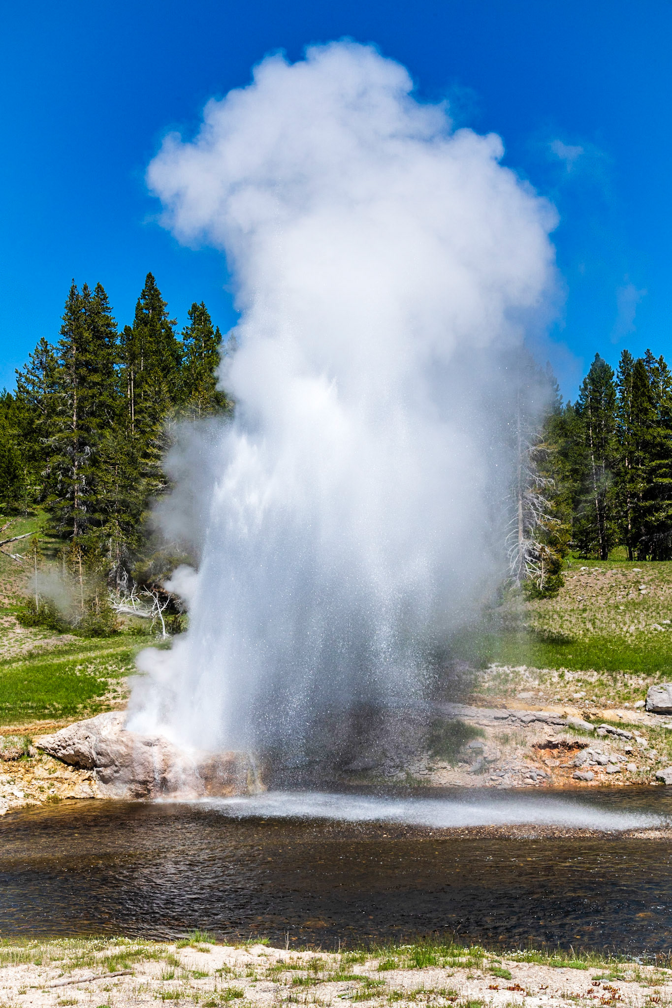 Riverside Geyser