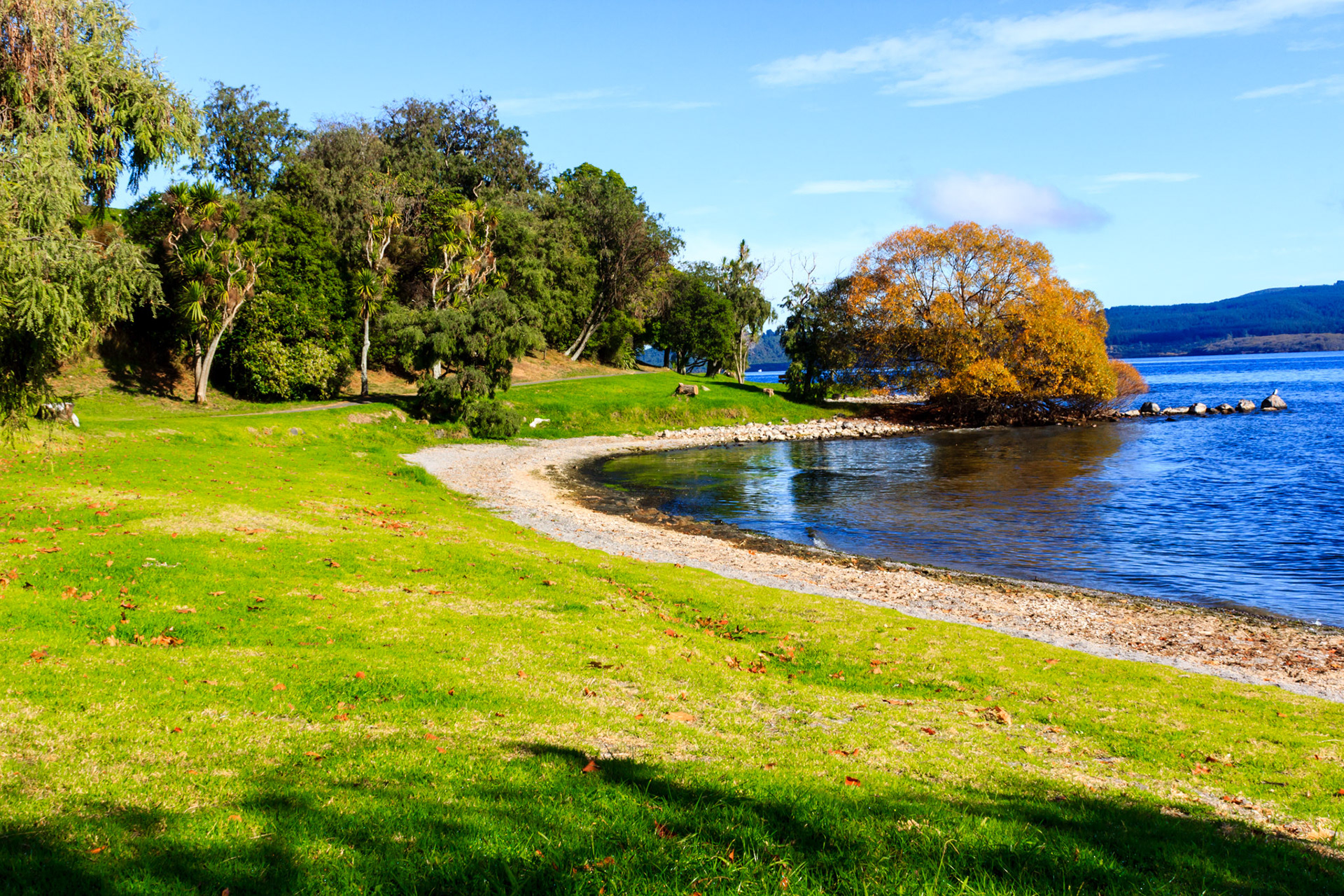 Lake Taupo