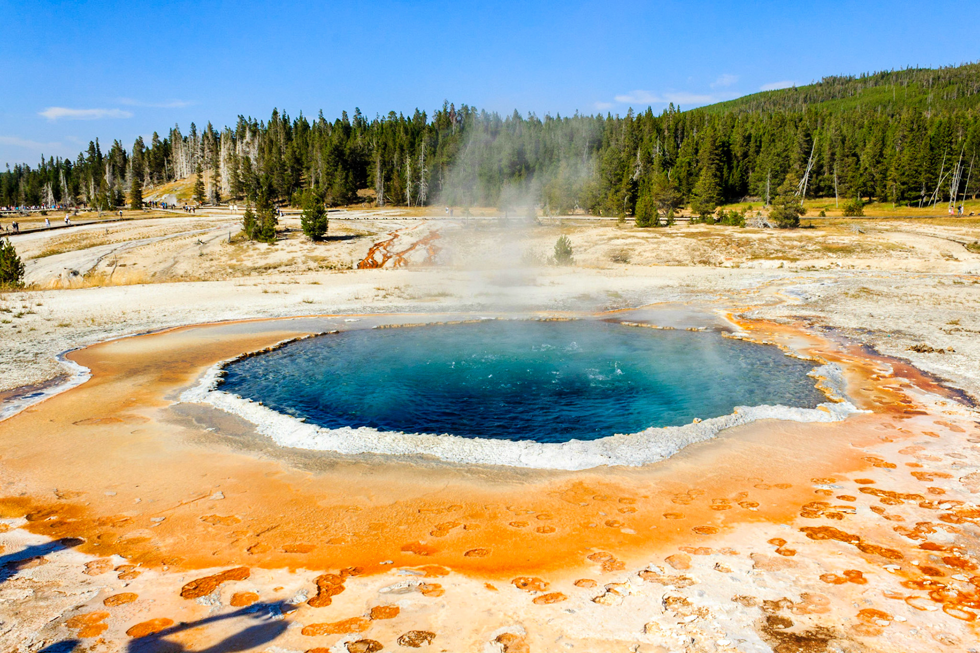 Upper Geyser Basin