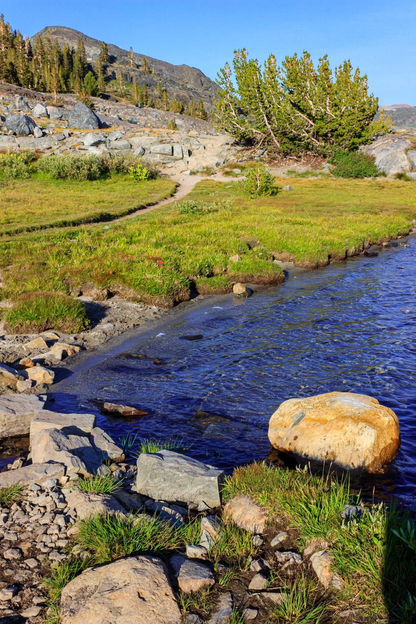 Trail Around Thousand Island Lake
