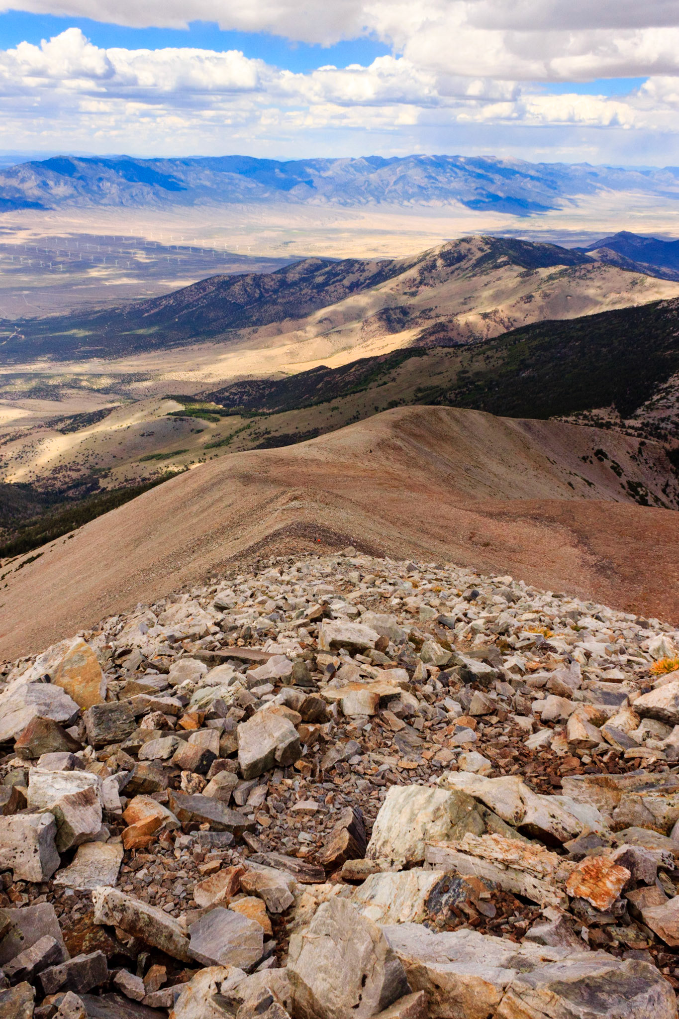 Trail to Wheeler Peak