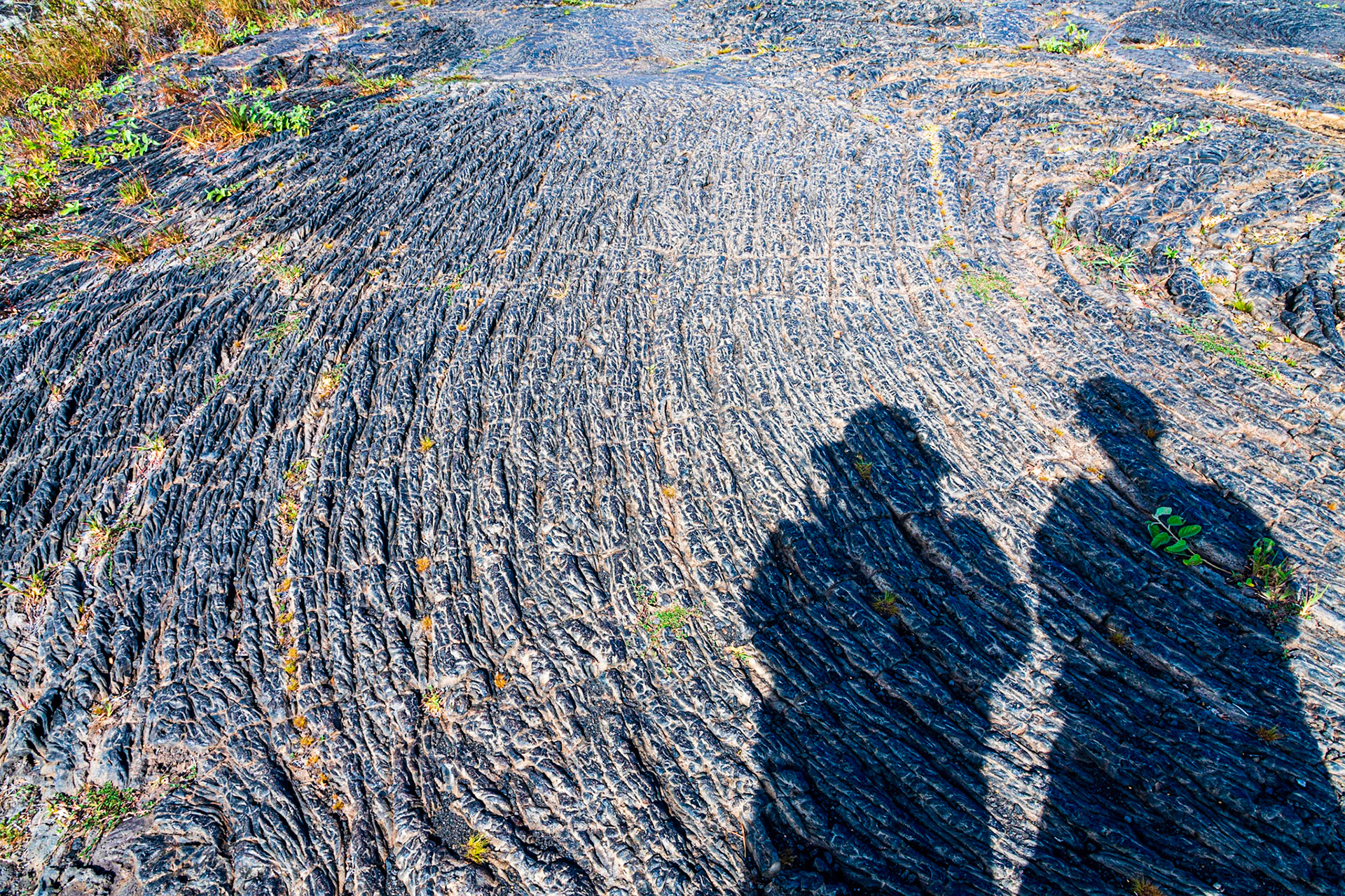 Pu'u Loa Petroglyphs