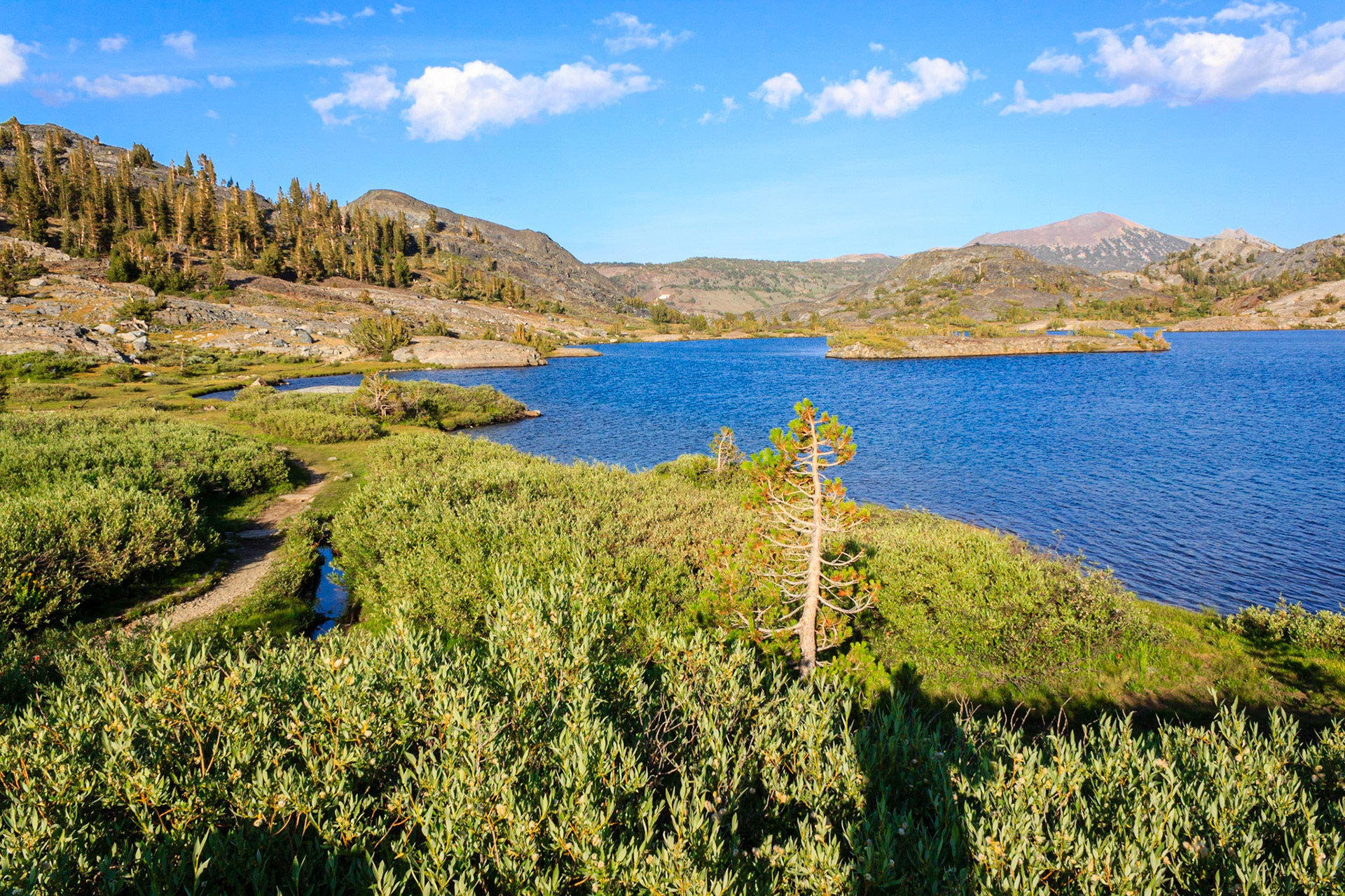 Eastern Edge of Thousand Island Lake