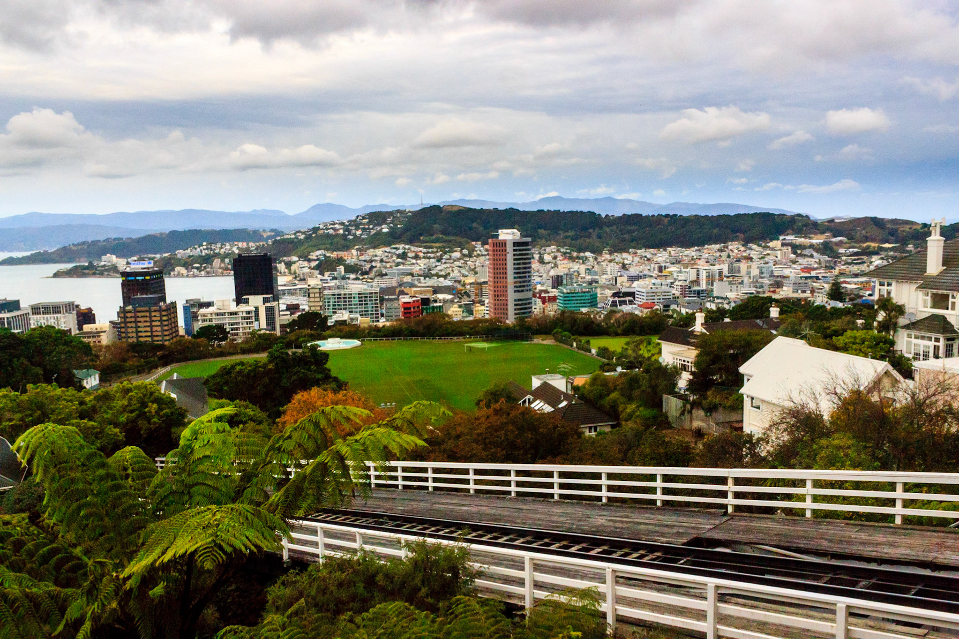 Downtown Wellington from the Cable Car