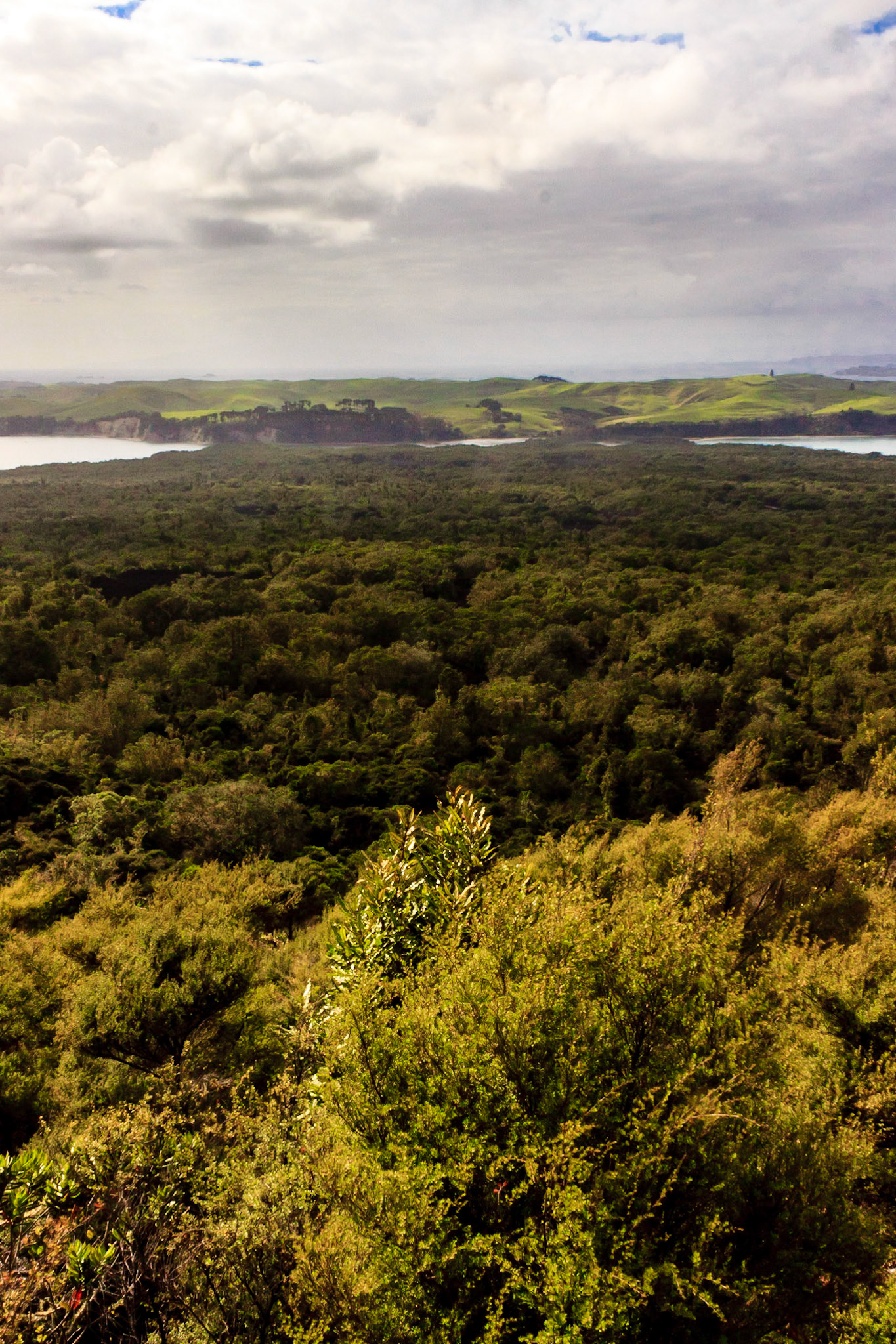 View of the rest of the island.