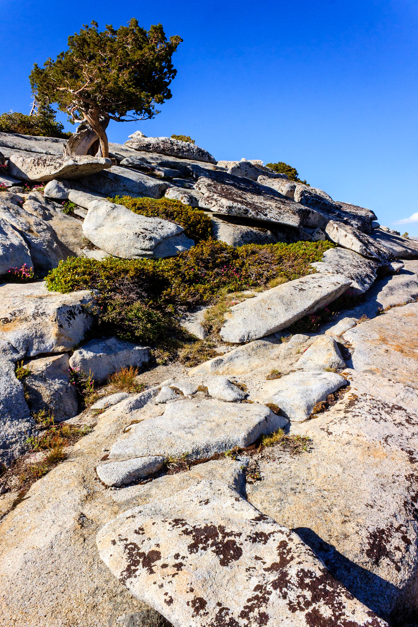 Olmsted Point