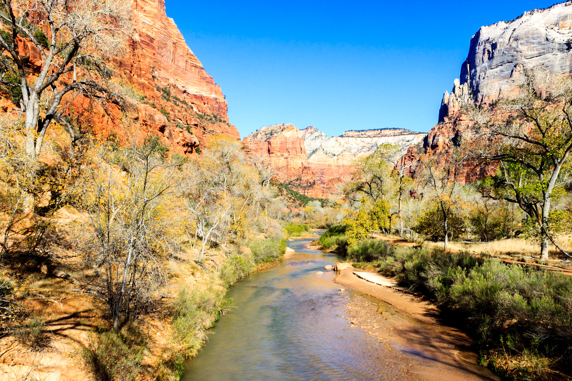 Virgin River Footbridge in Zion Canyon