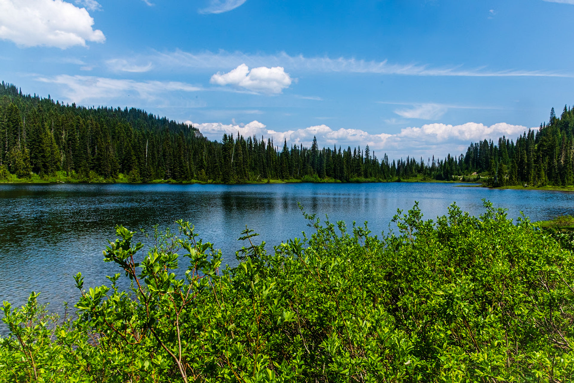 Reflection Lake
