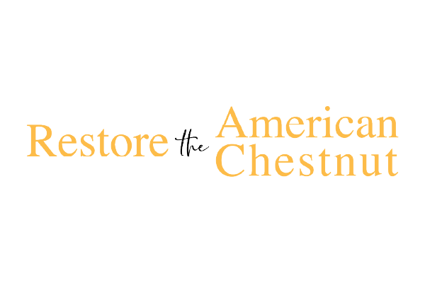 Restore the American Chestnut