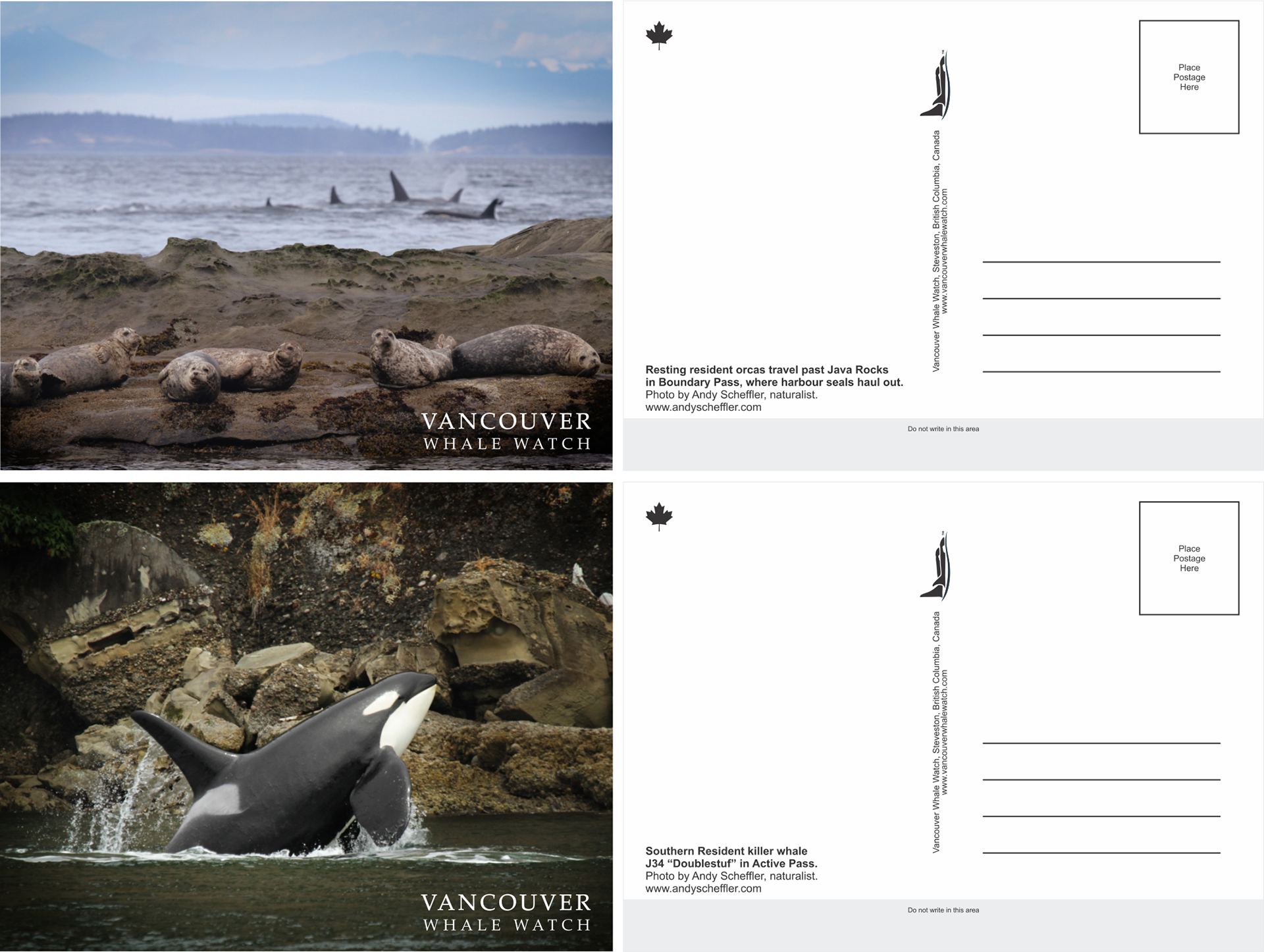 Vancouver Whale Watch Postcards
