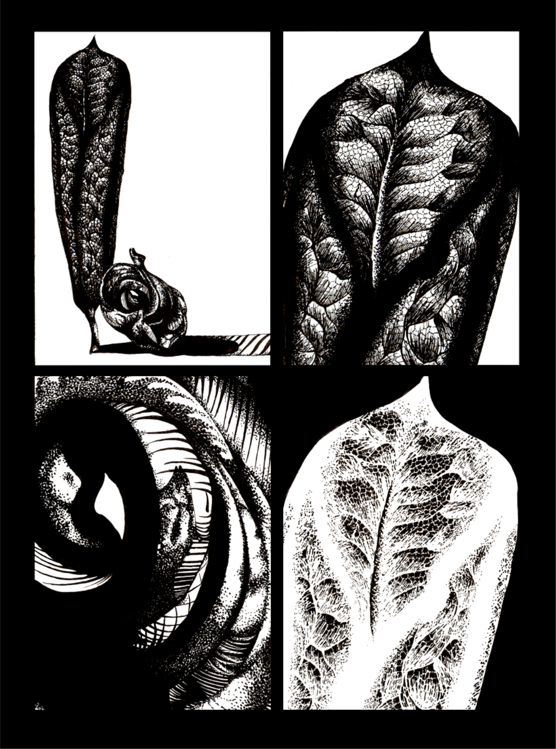 India ink on board