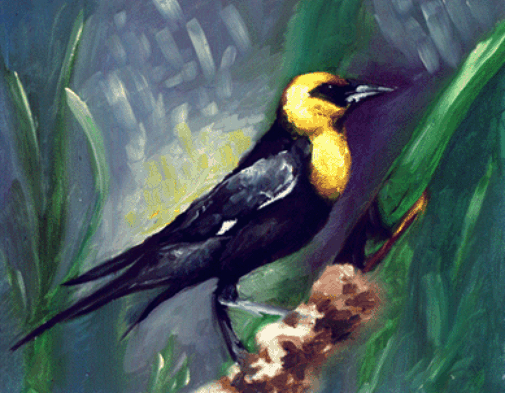 Oil paint on canvas