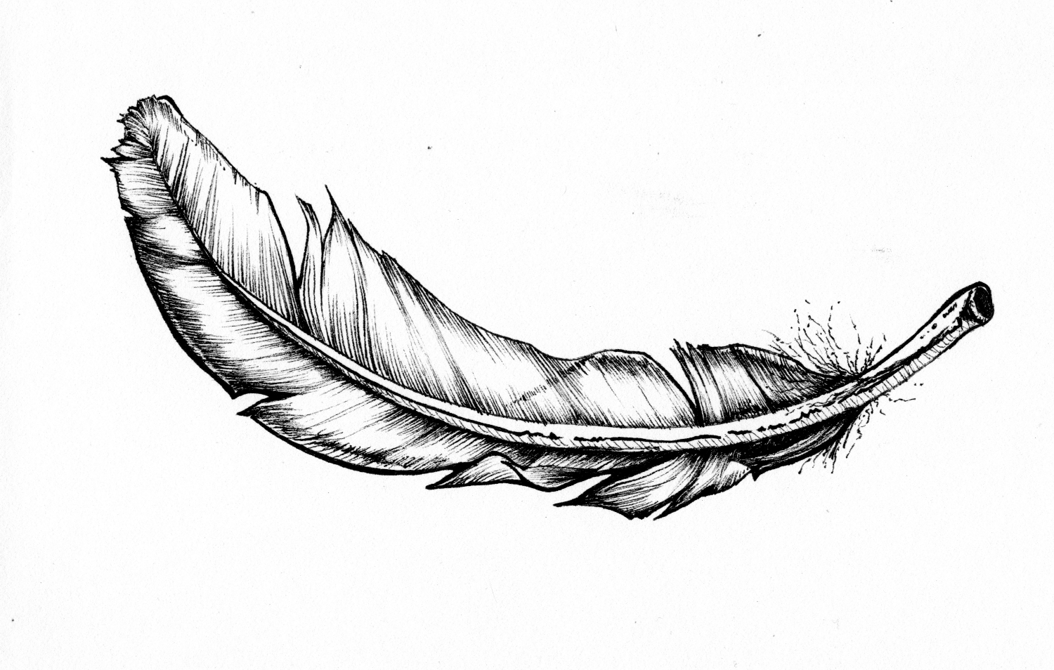 Technical pen on sketch paper