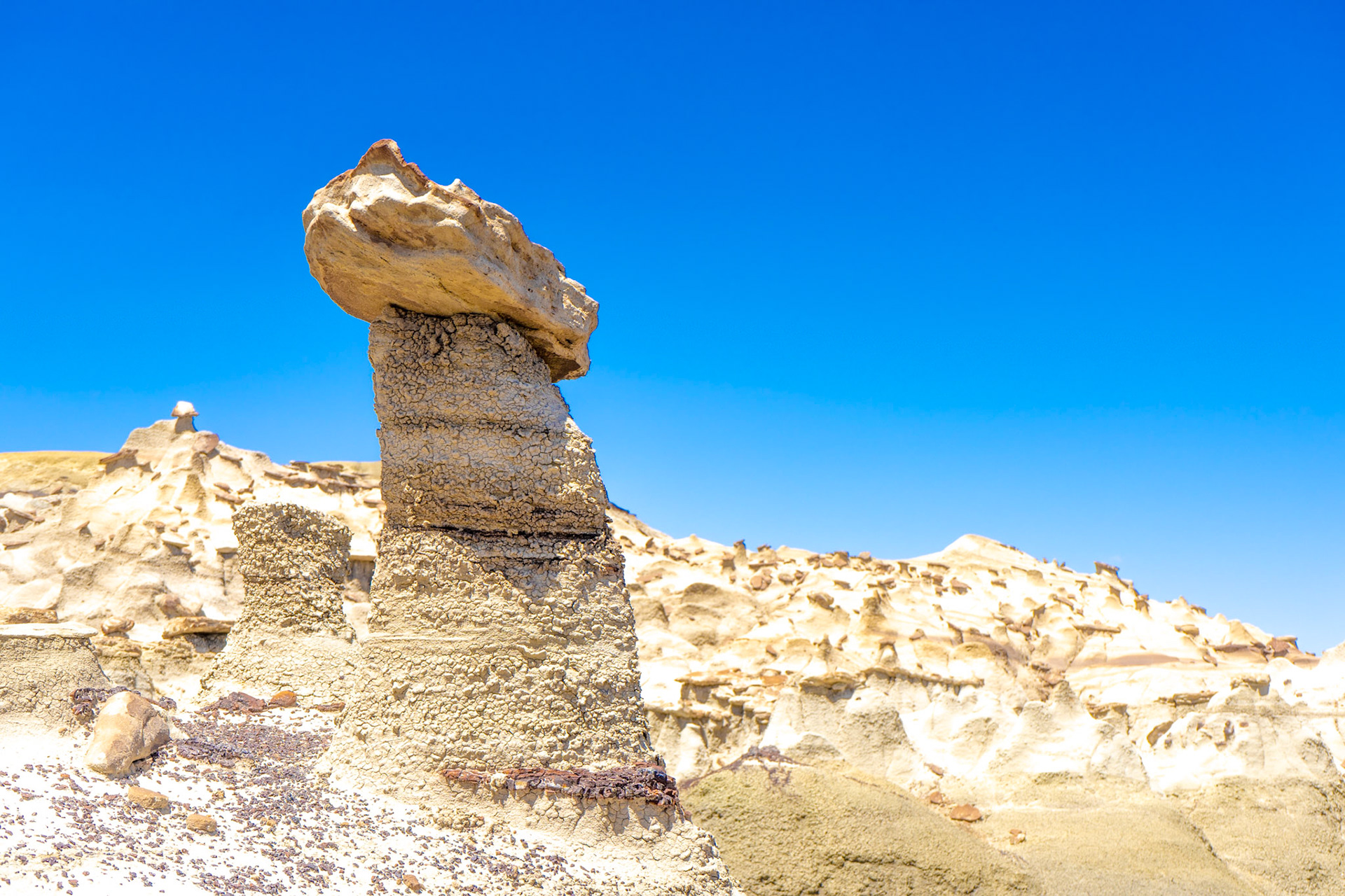Bisti Badlands, NM