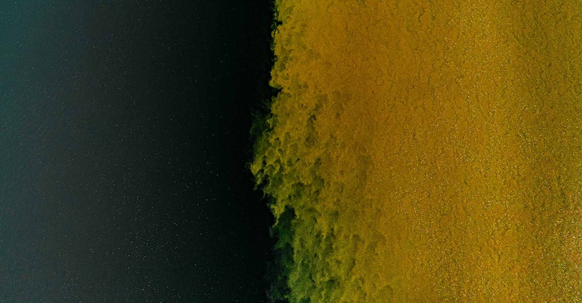 Confluence of Susquehanna, PA