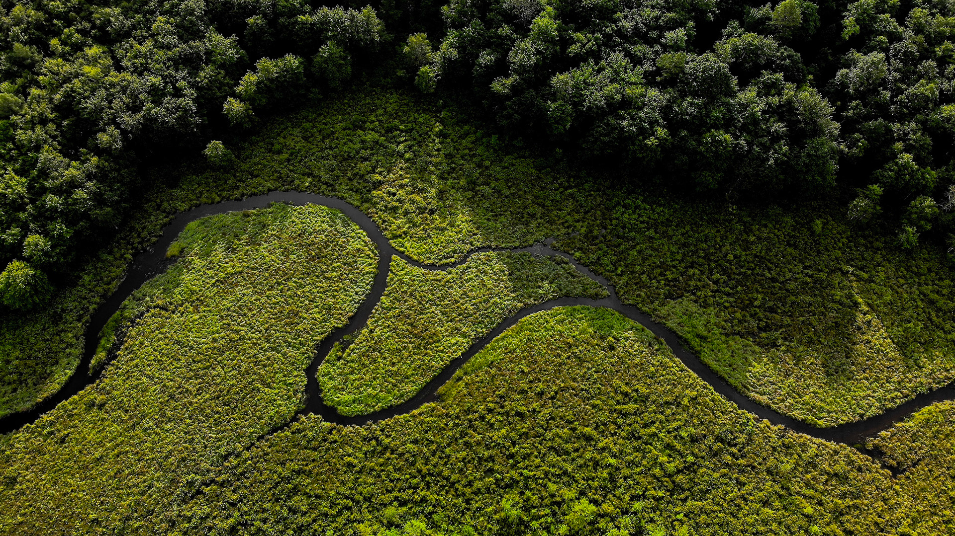 Rattlesnake Creek, PA