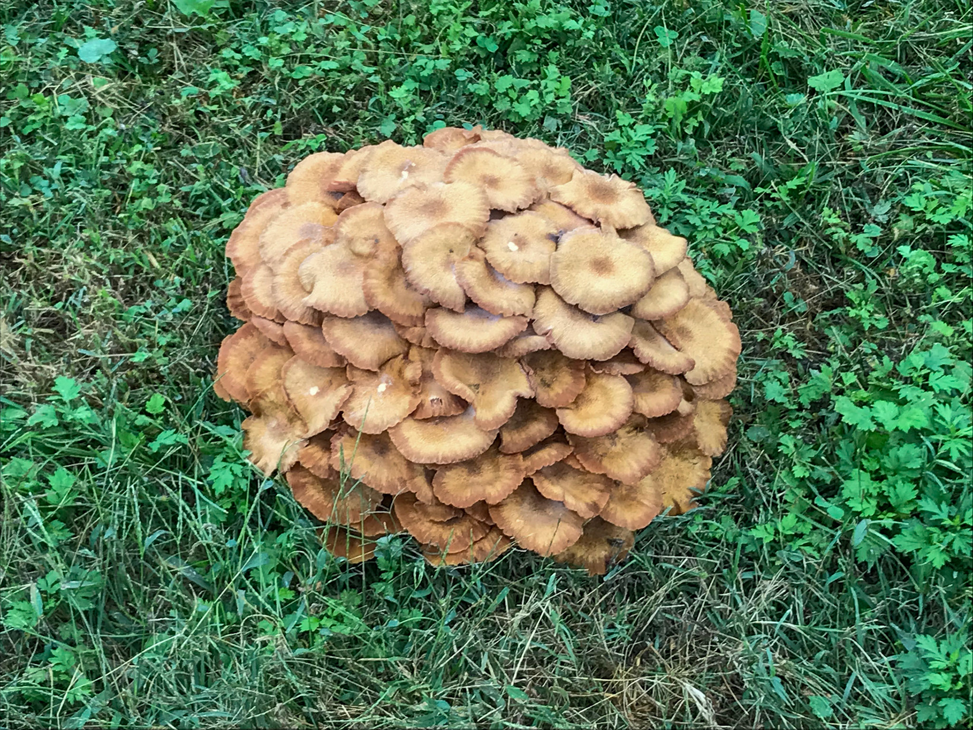 Alexandria, Virginia