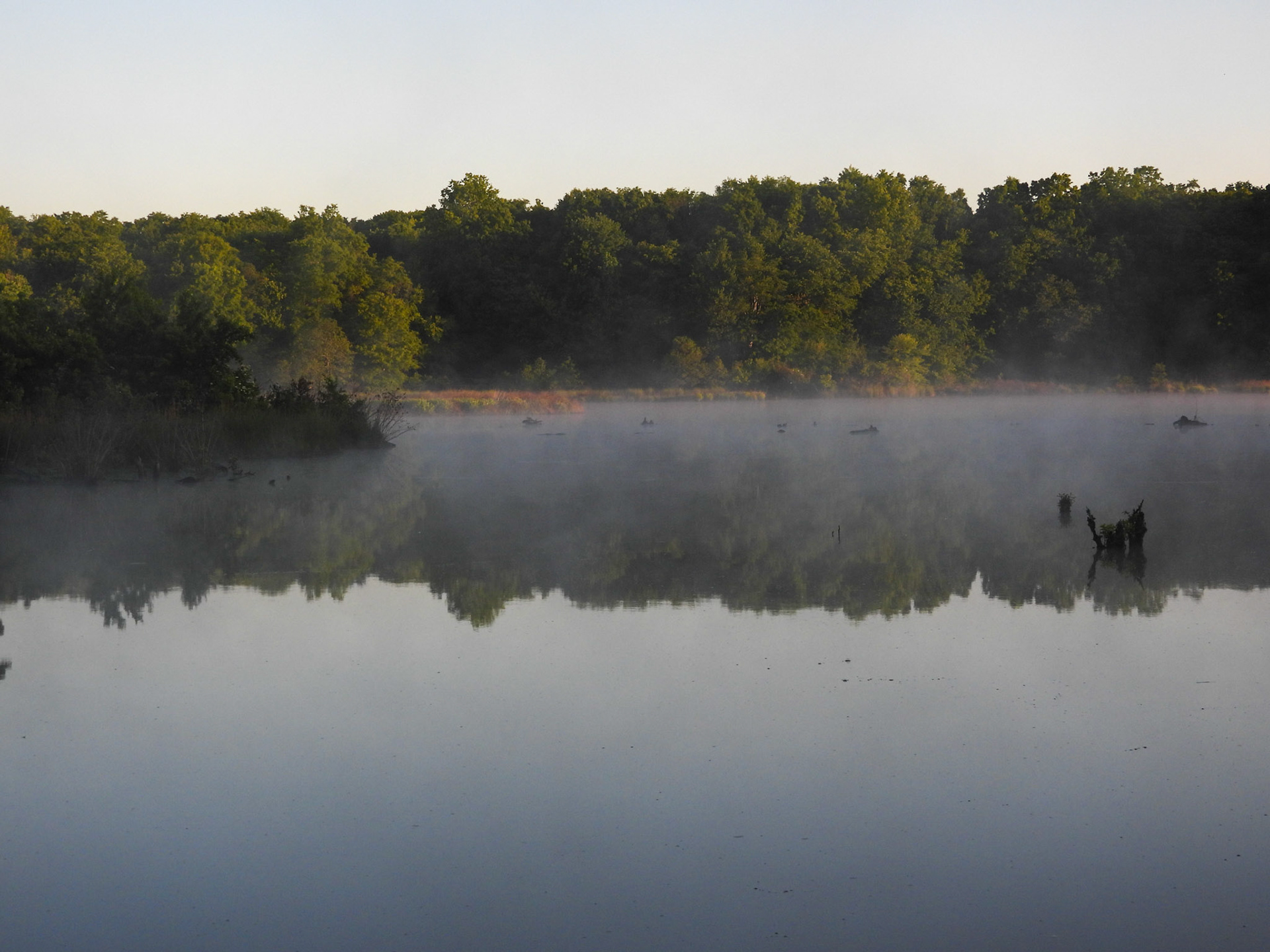 Huntley Meadows wetland in mid-May.
