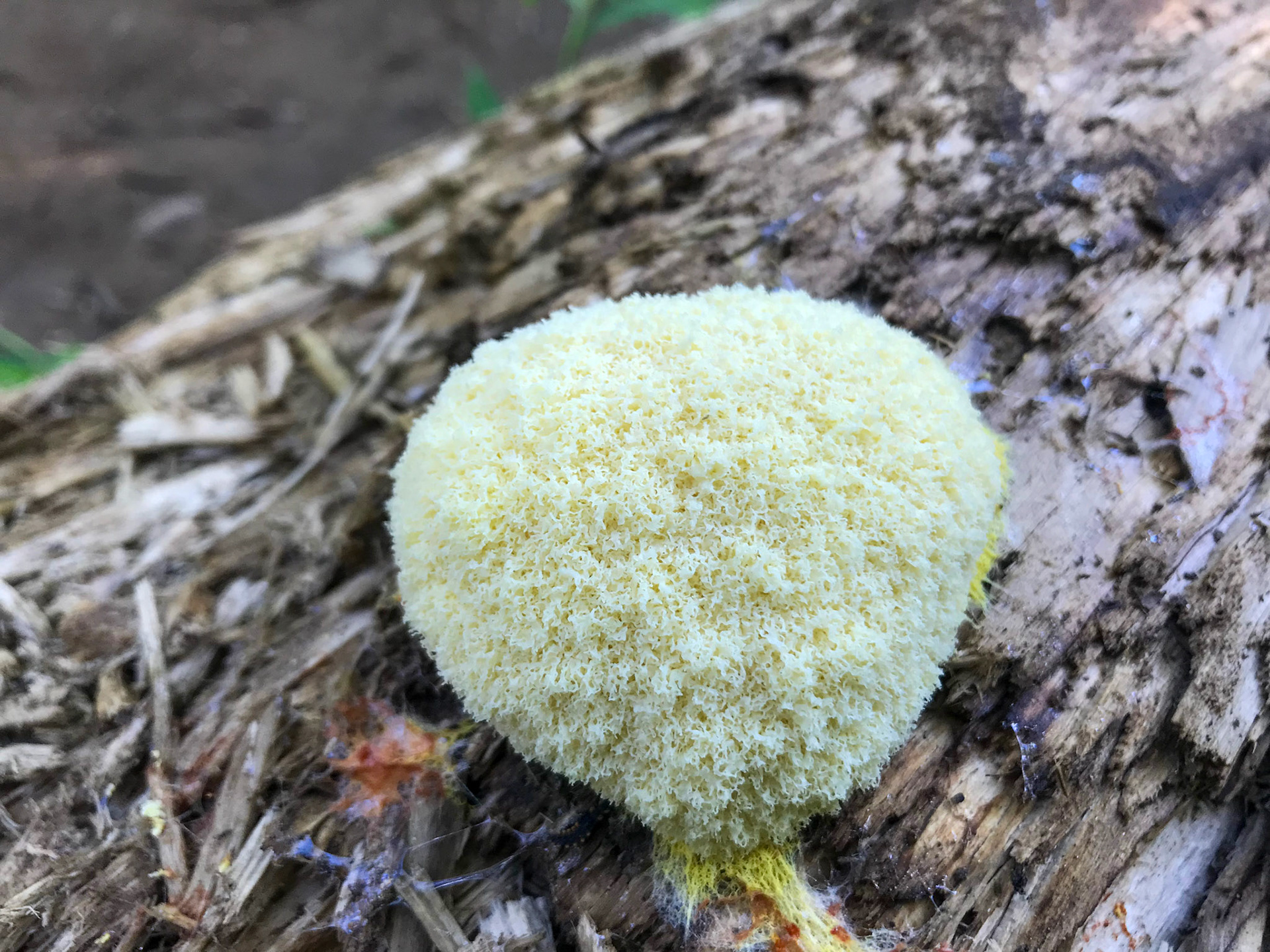 Theodore Roosevelt Island, District of Columbia