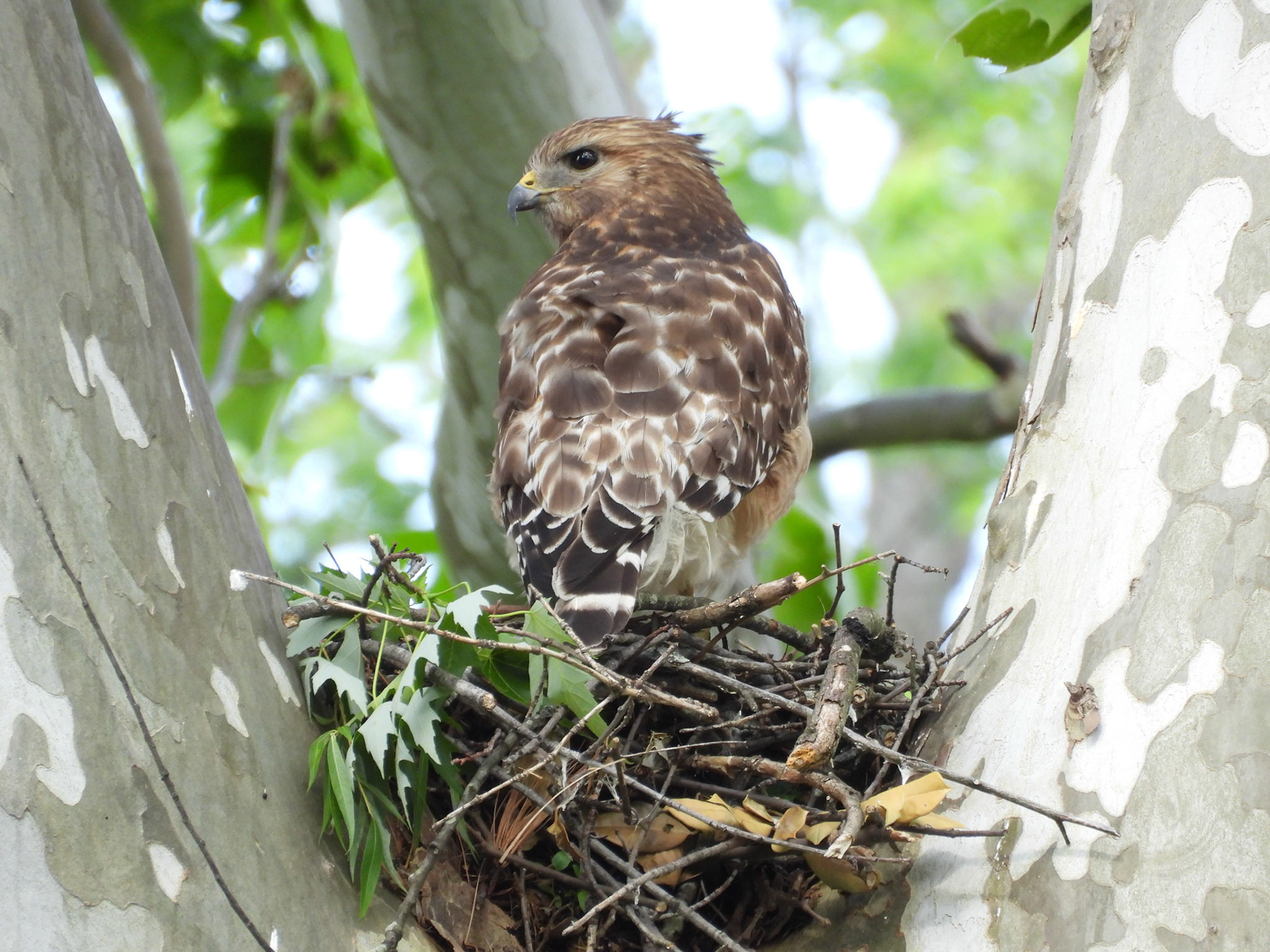 May 5 - Keeping watch