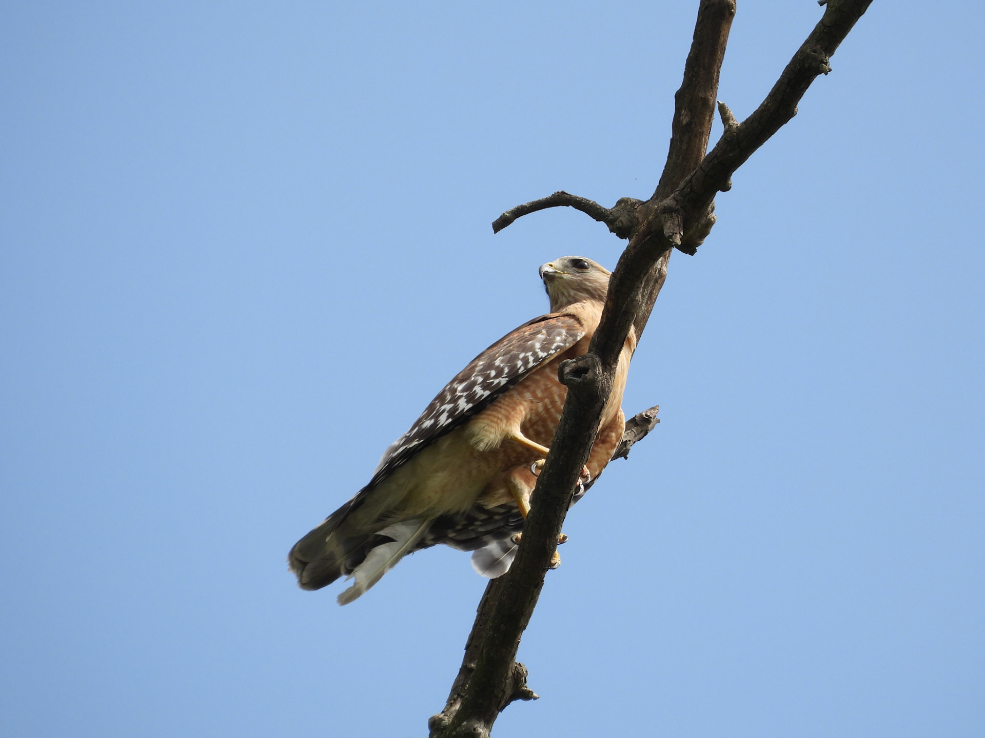 May 20 - A little time away from the nest