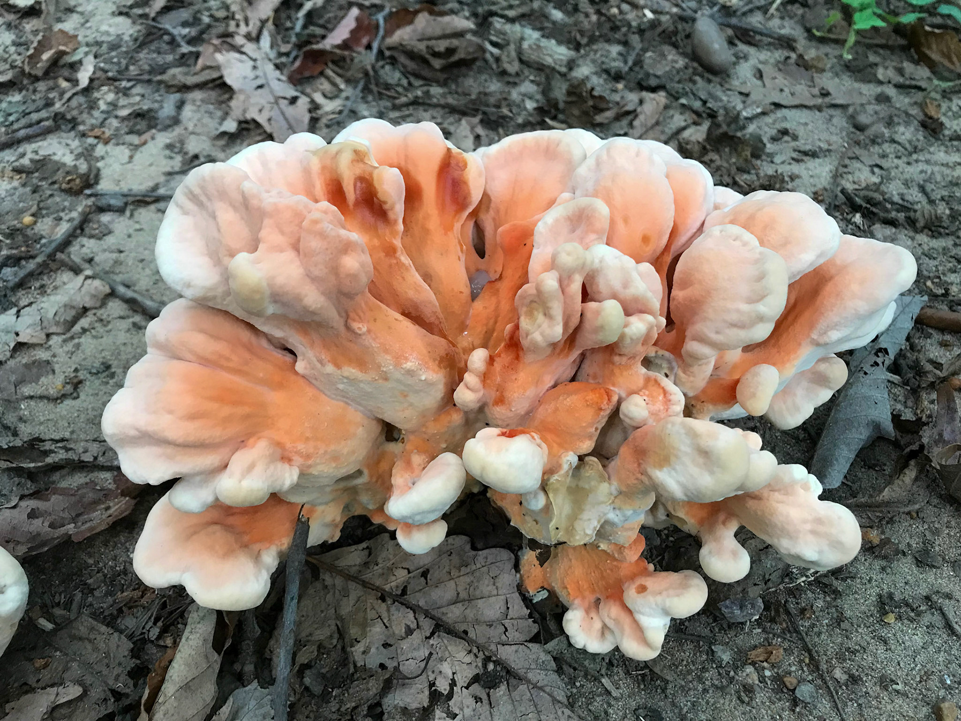 Mt. Vernon District Park, Fairfax County, Virginia