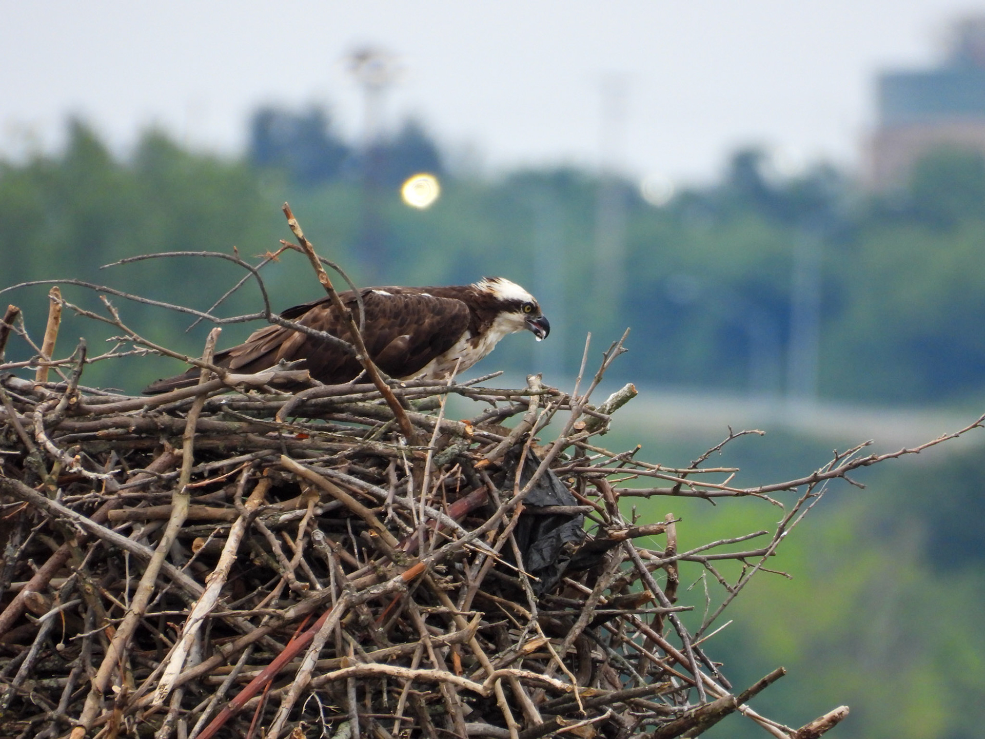 ...and finishes it there...