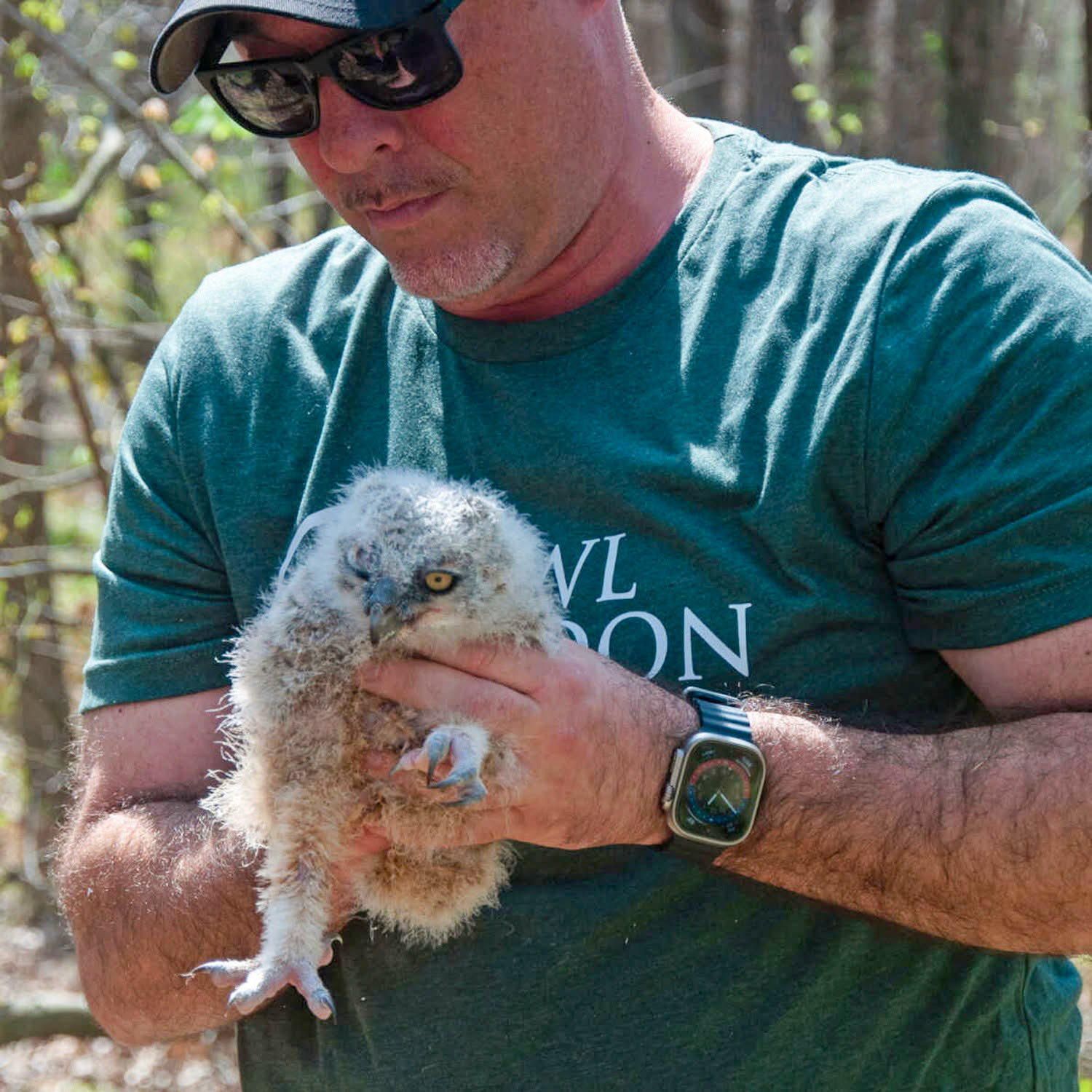 April 3 - the first owlet (courtesy Ralph Fiedler)