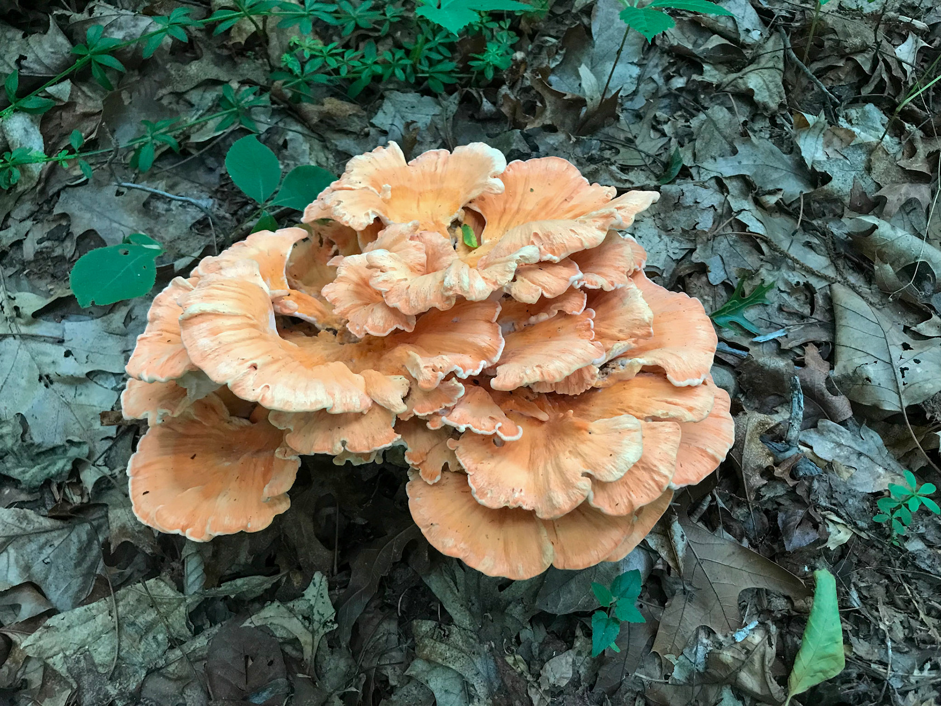 Black Hill Regional Park, Maryland