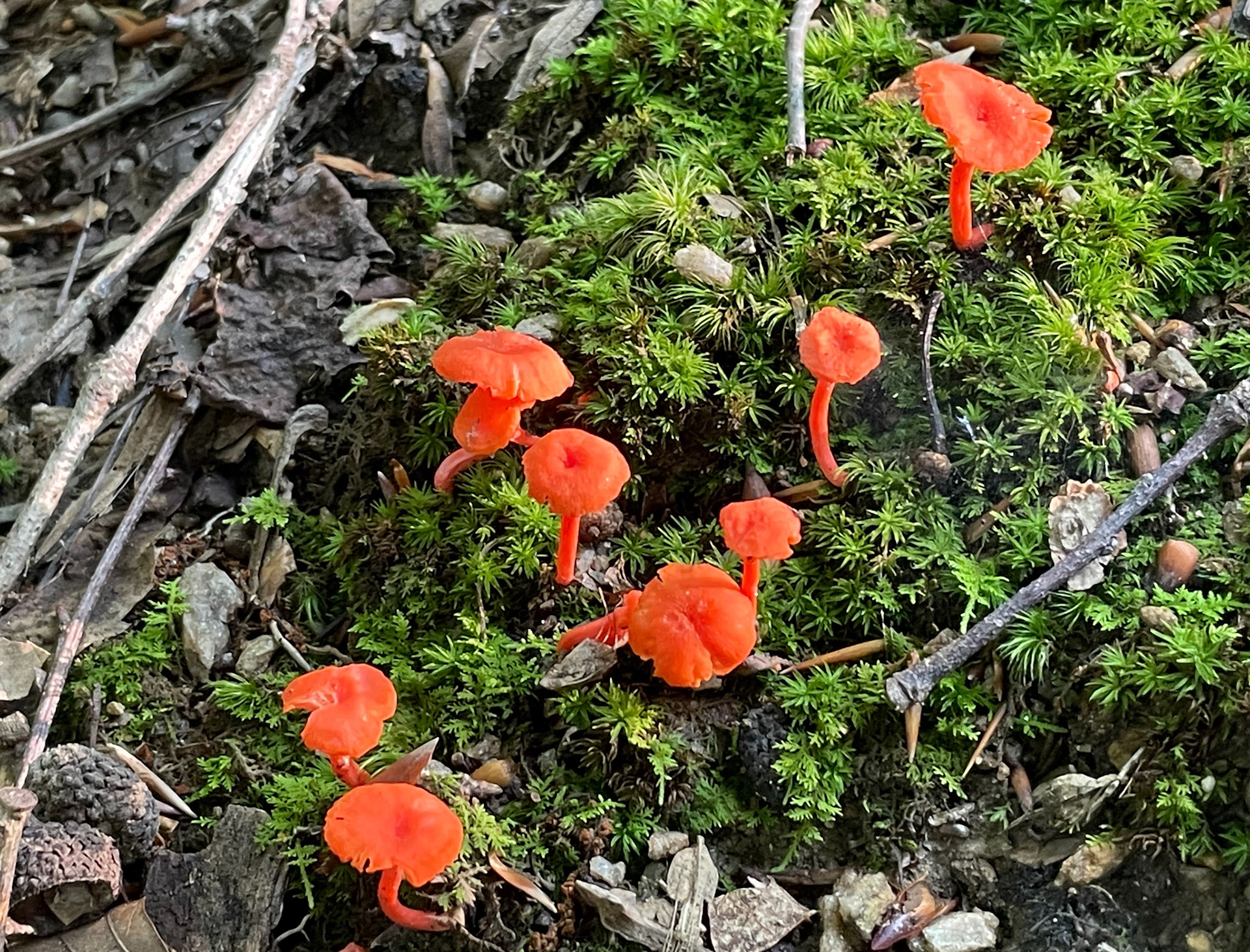 Fountainhead Regional Park, Virginia