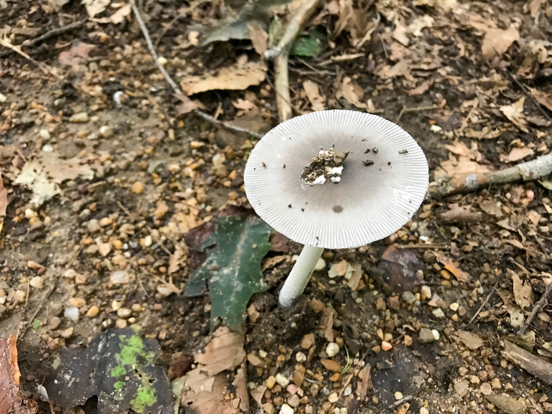 Accotink Bay Wildlife Refuge, Virginia