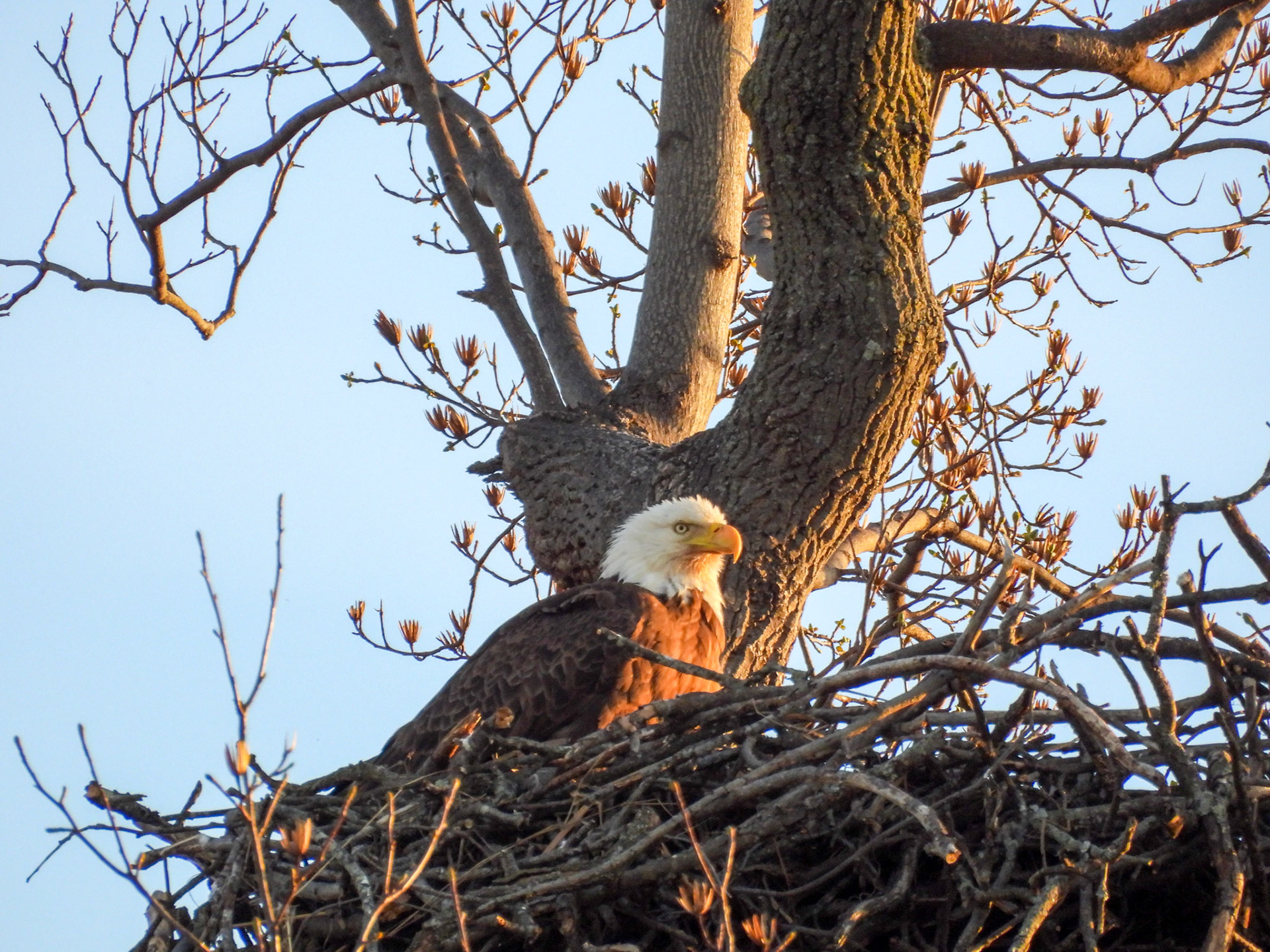 March 19 at sunset.