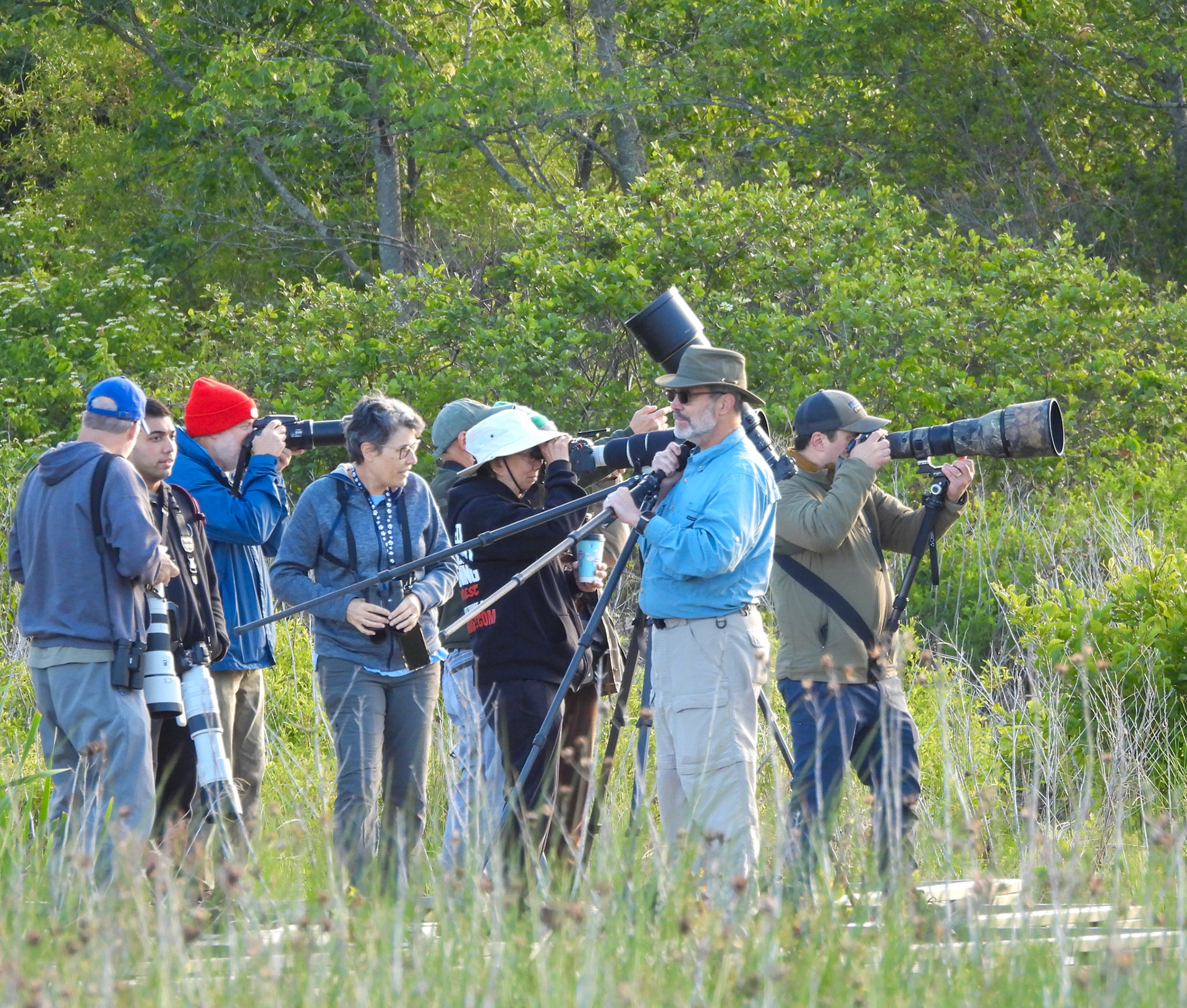 MAy 15 - the owl family kept its celebrity status after leaving the nest.