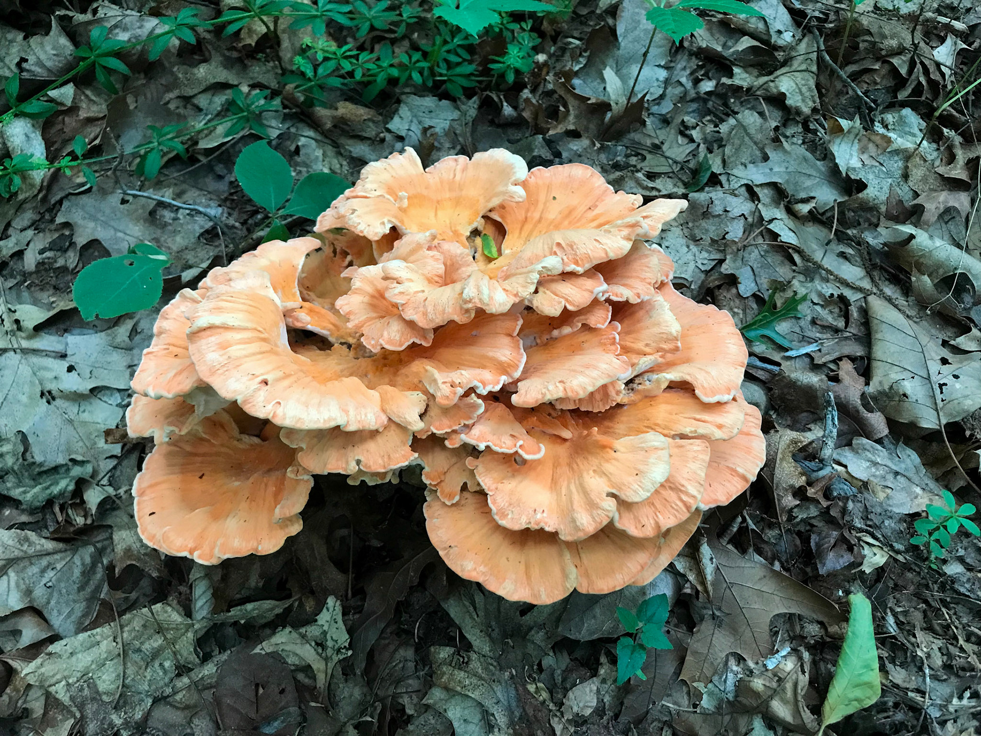 Black Hill Regional Park, Maryland