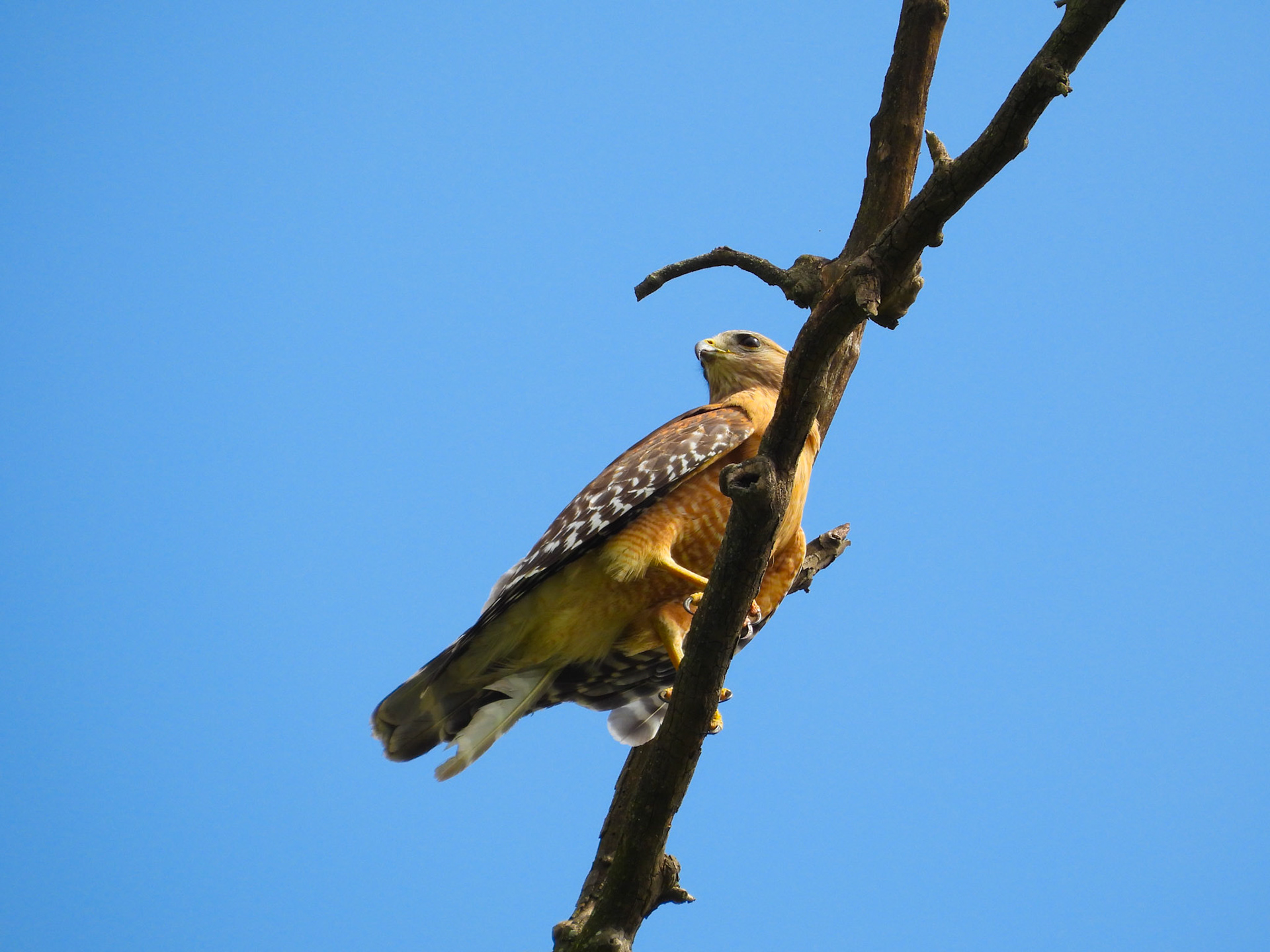 May 20 - A little time away from the nest